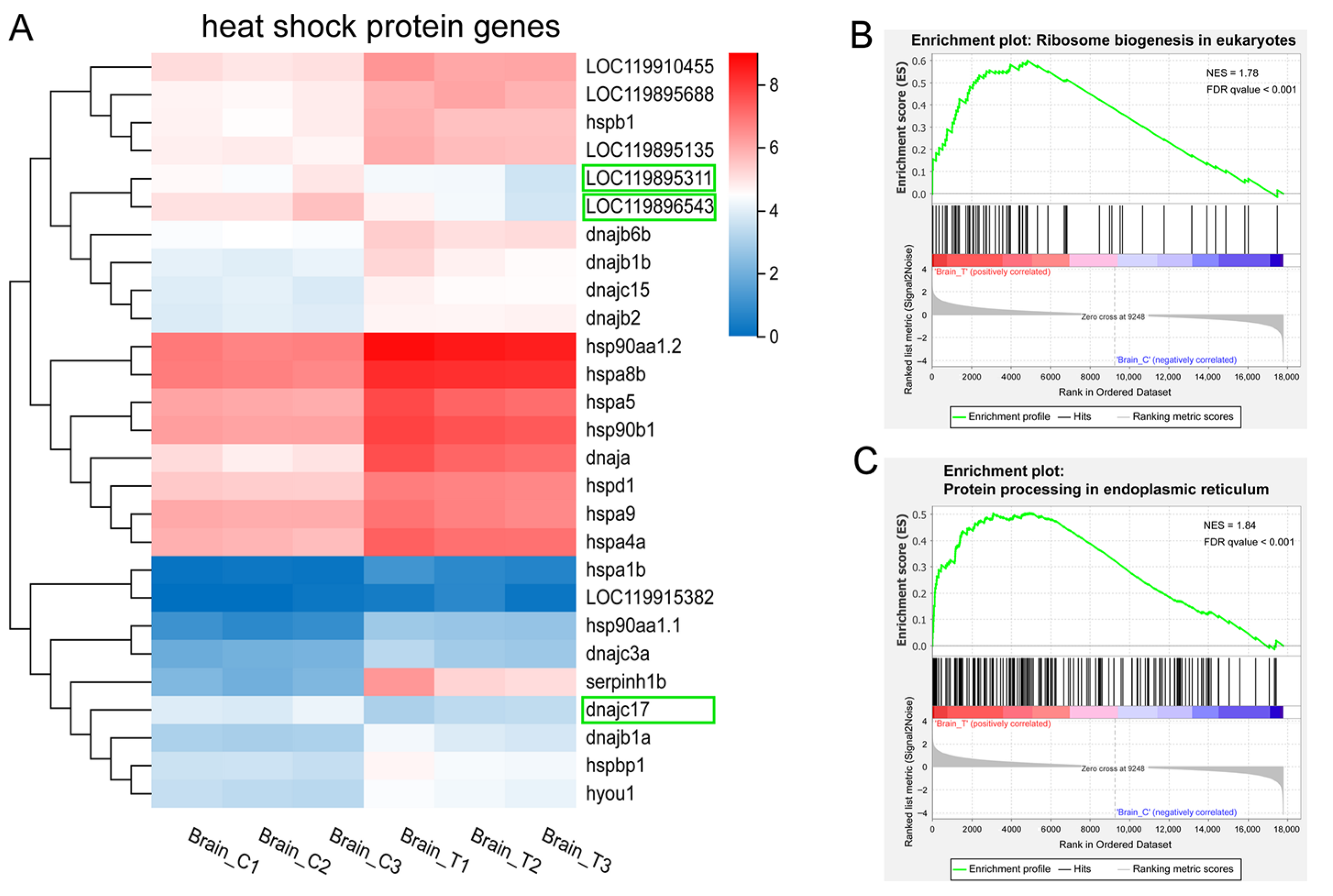 Animals 15 03067 g006