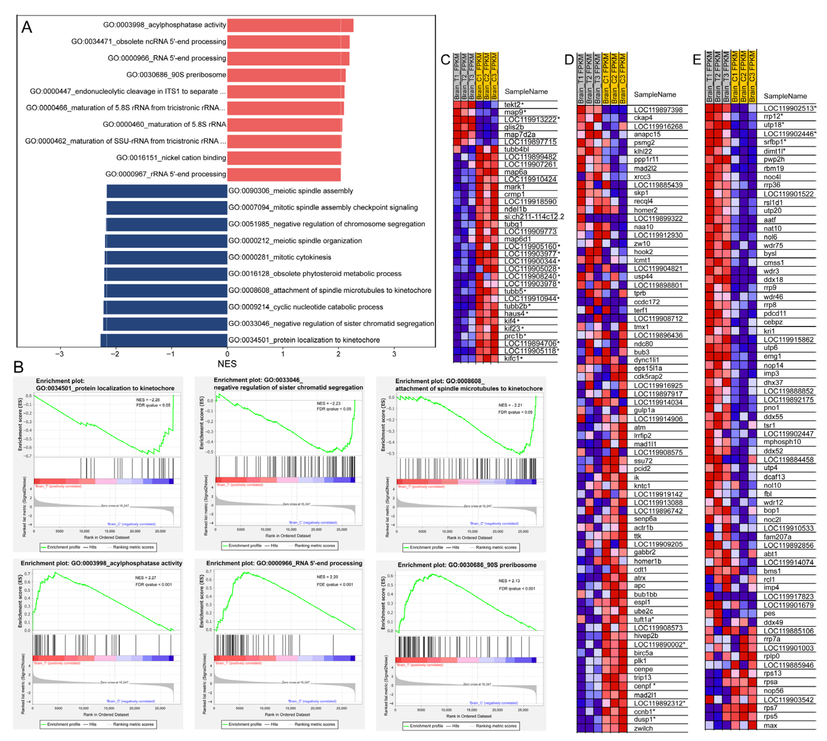Animals 15 03067 g007