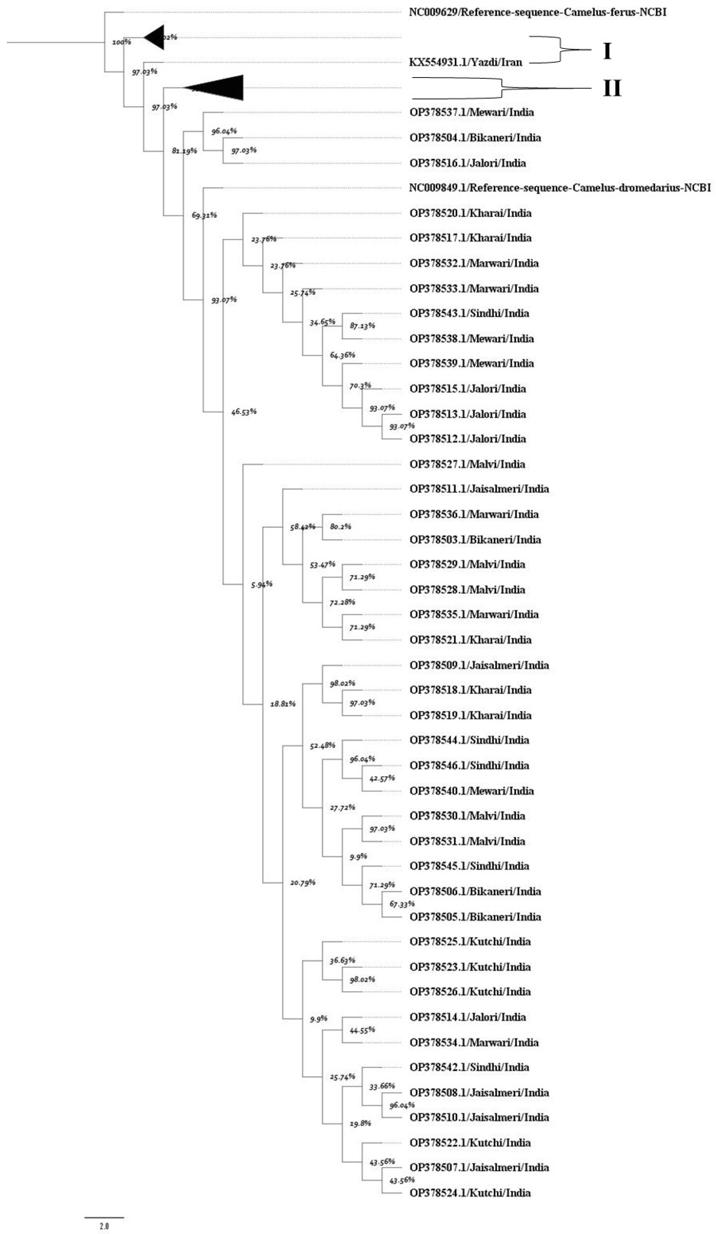 Animals 15 03070 g001