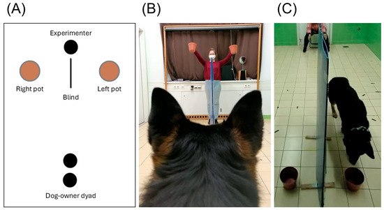 Animals 15 03074 g001