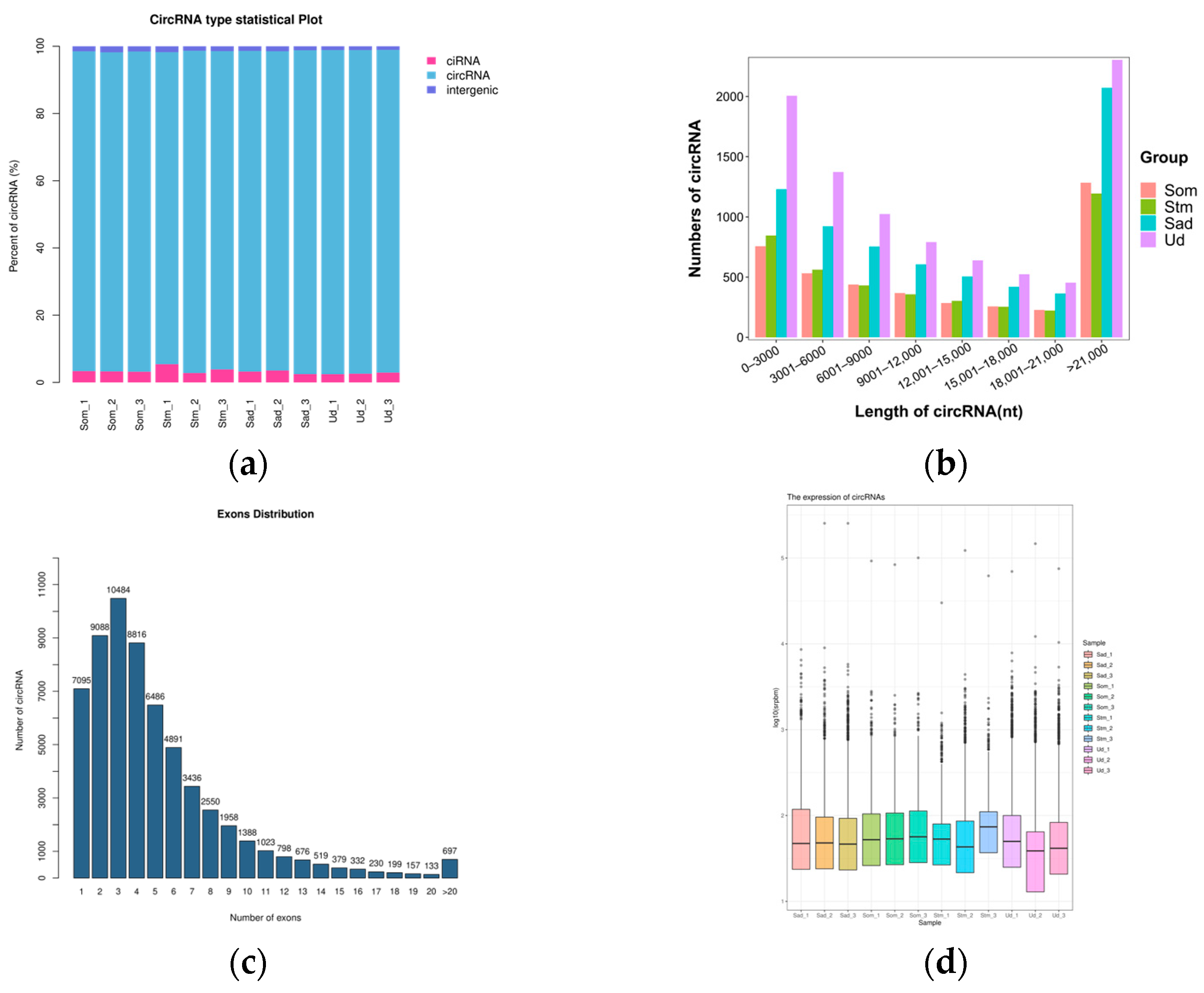 Animals 15 03077 g001