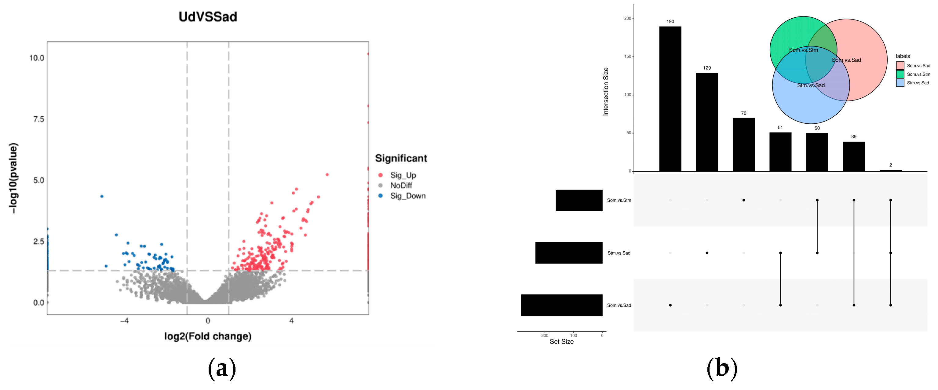 Animals 15 03077 g003