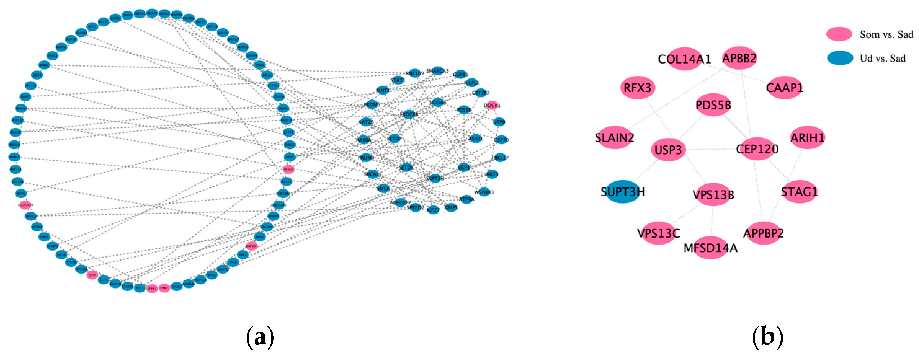 Animals 15 03077 g004