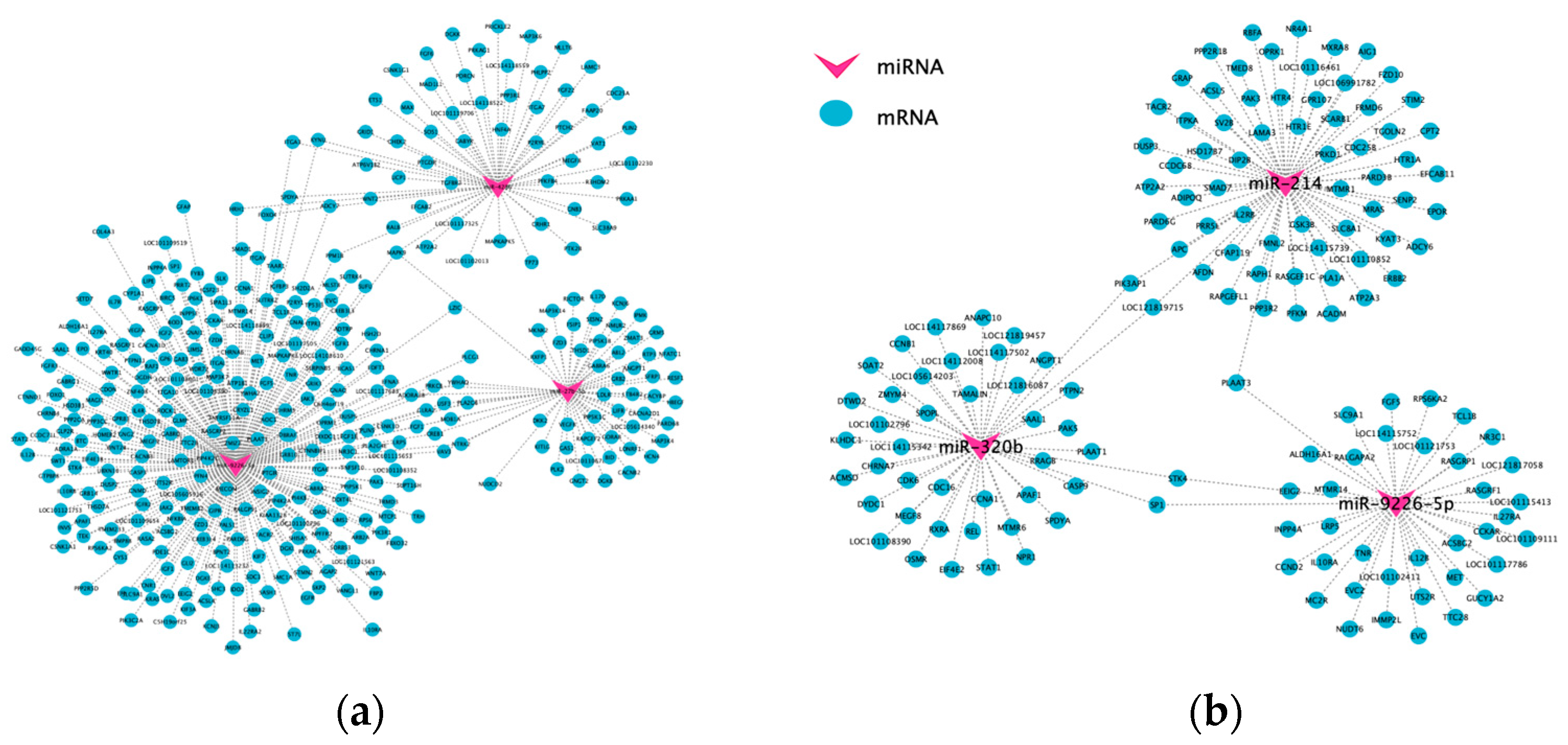 Animals 15 03077 g006