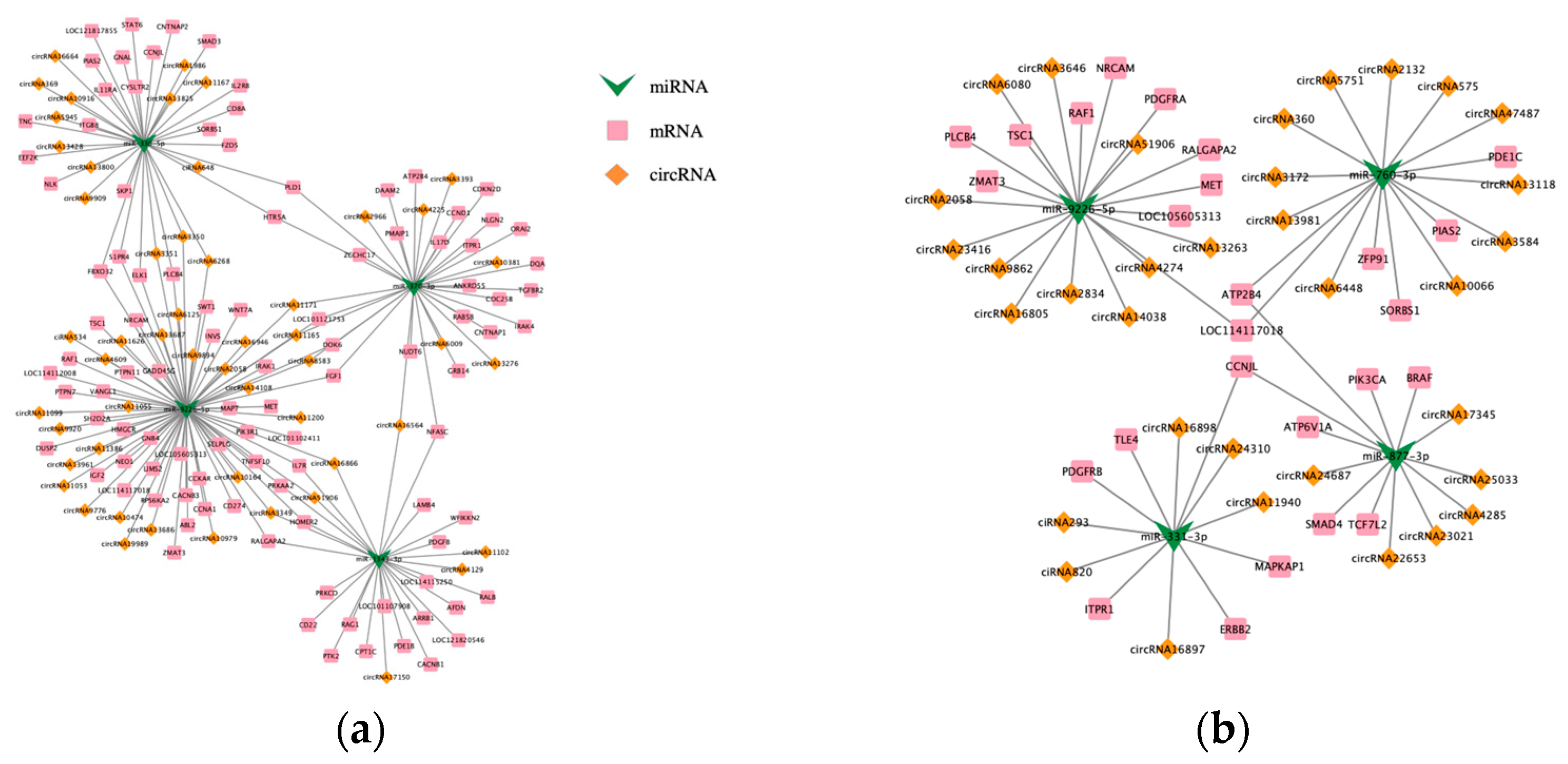 Animals 15 03077 g007