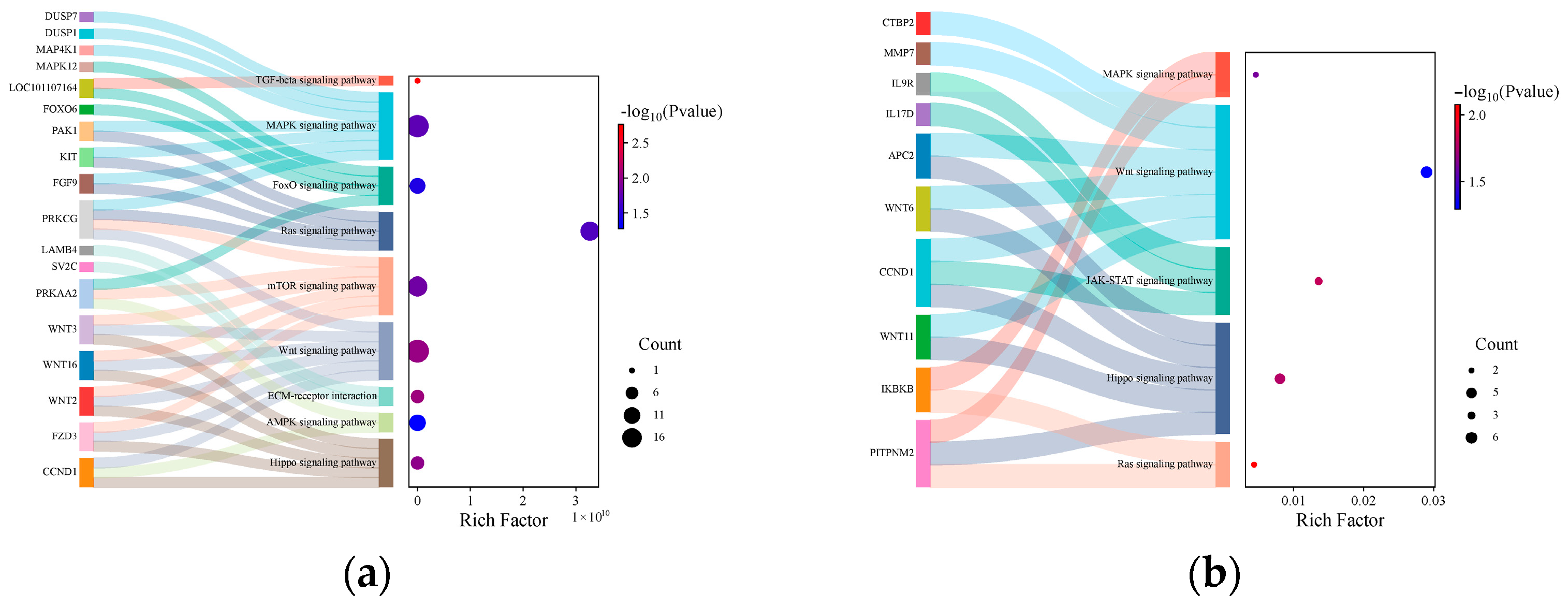 Animals 15 03077 g008