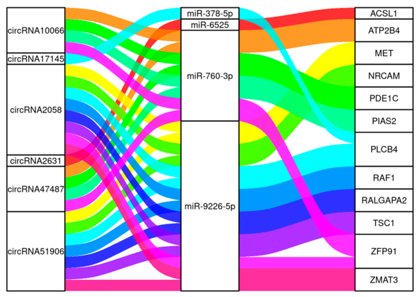 Animals 15 03077 g009