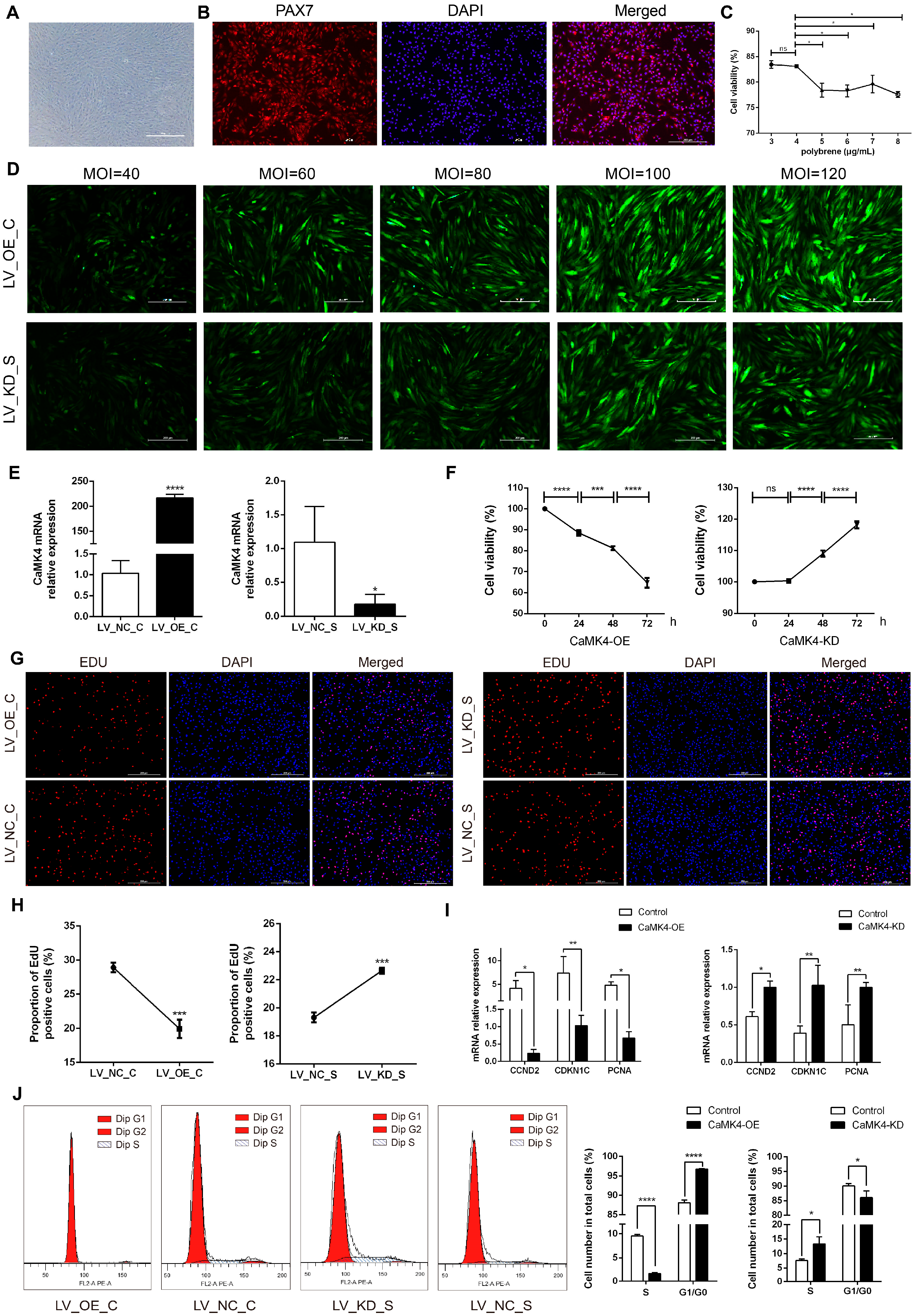 Animals 15 03083 g001