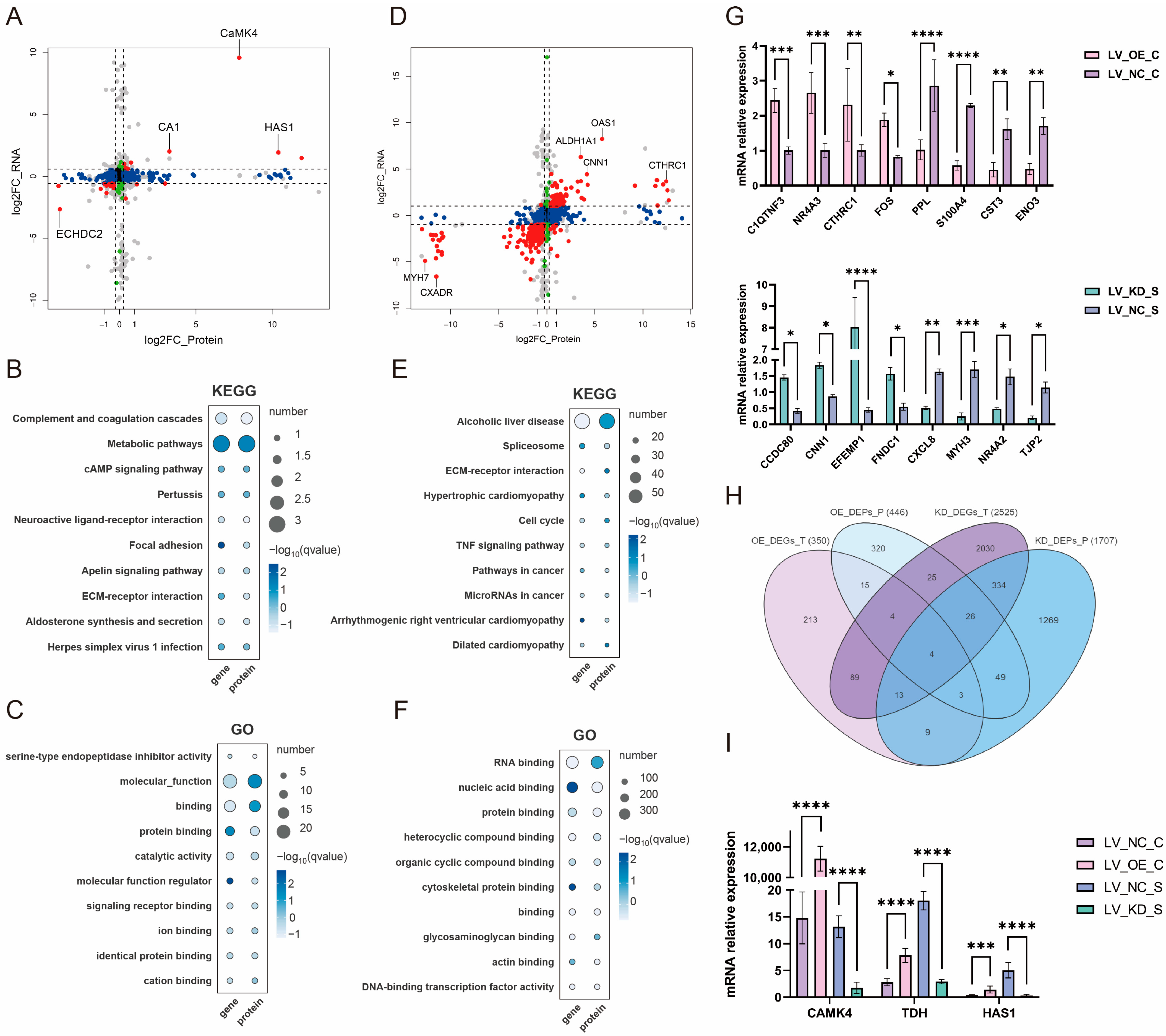Animals 15 03083 g003