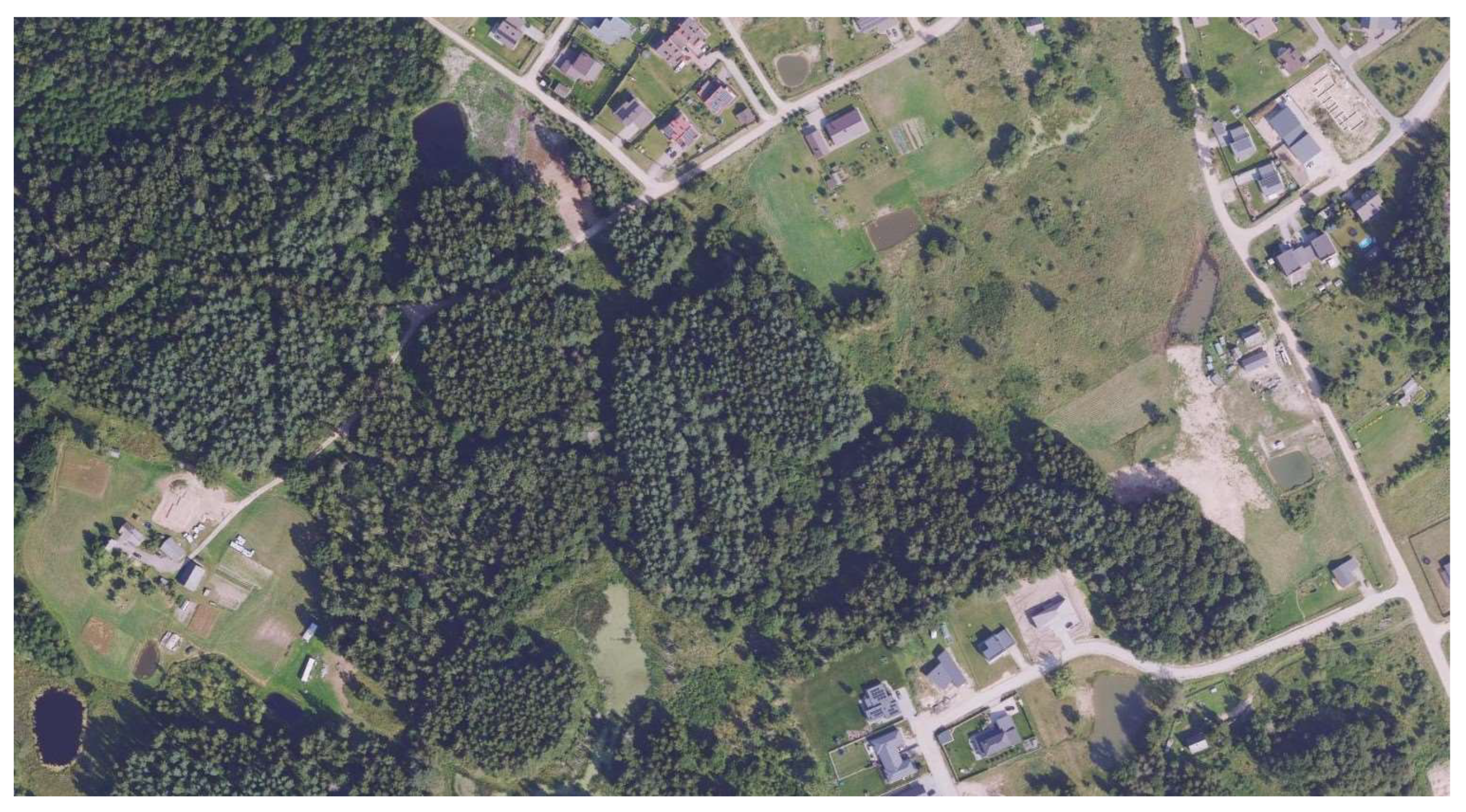 Animals 15 03088 g002