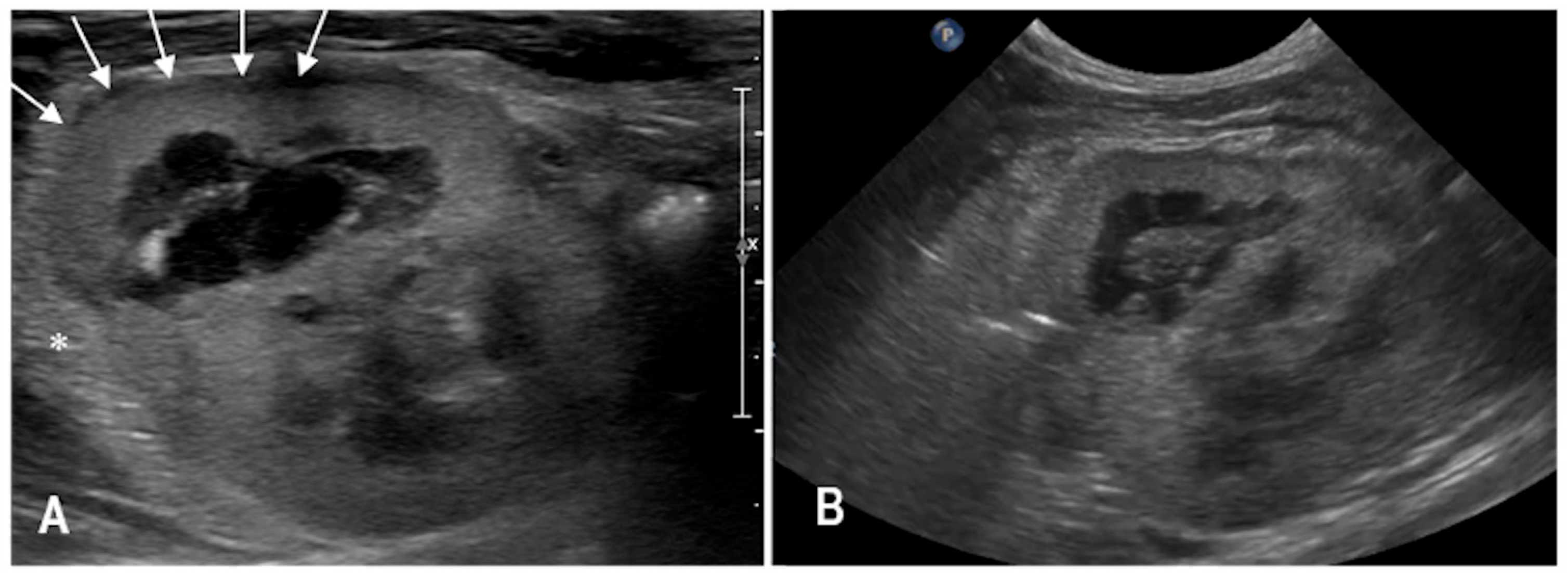 Animals 15 03089 g003