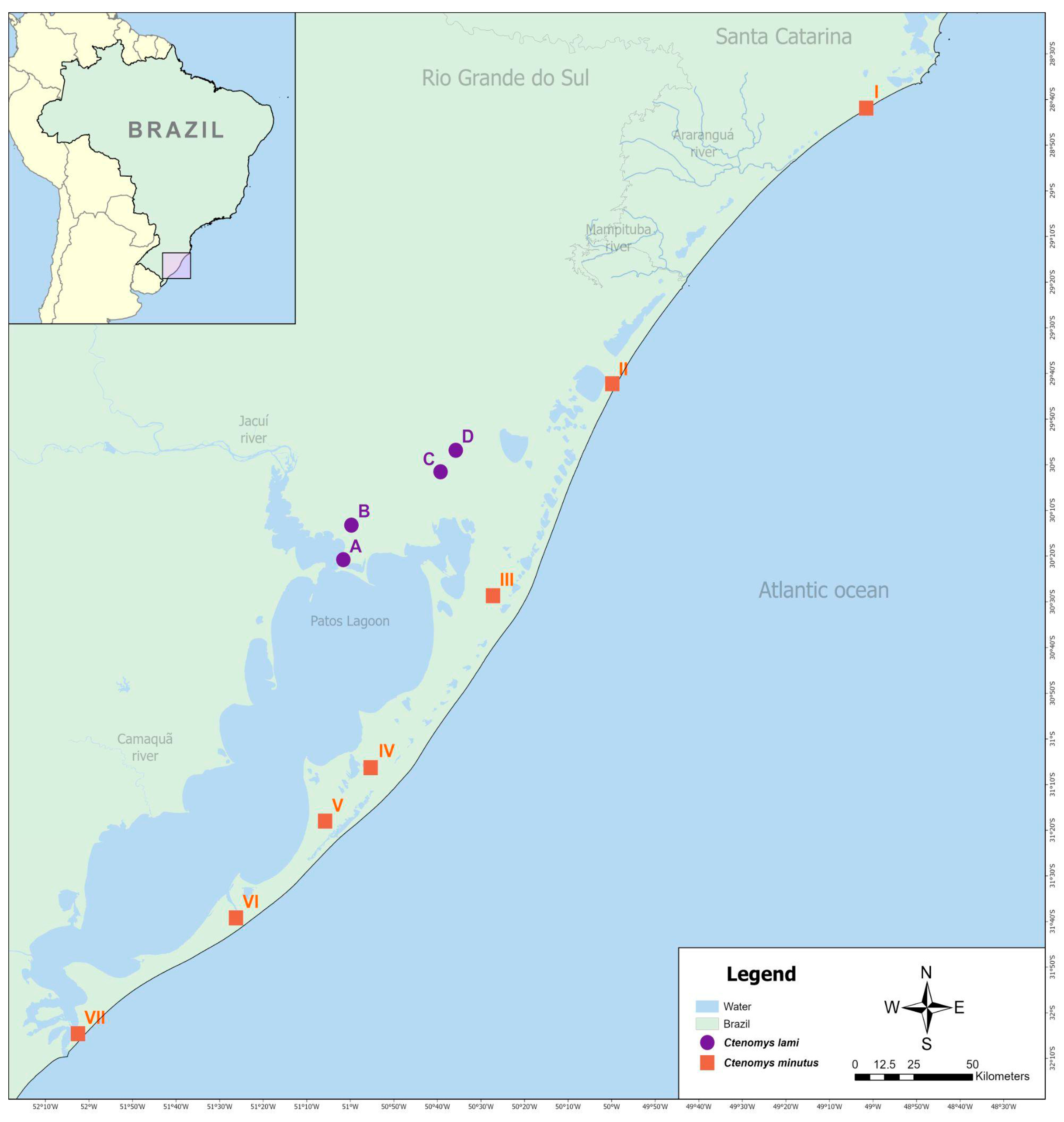 Animals 15 03091 g001