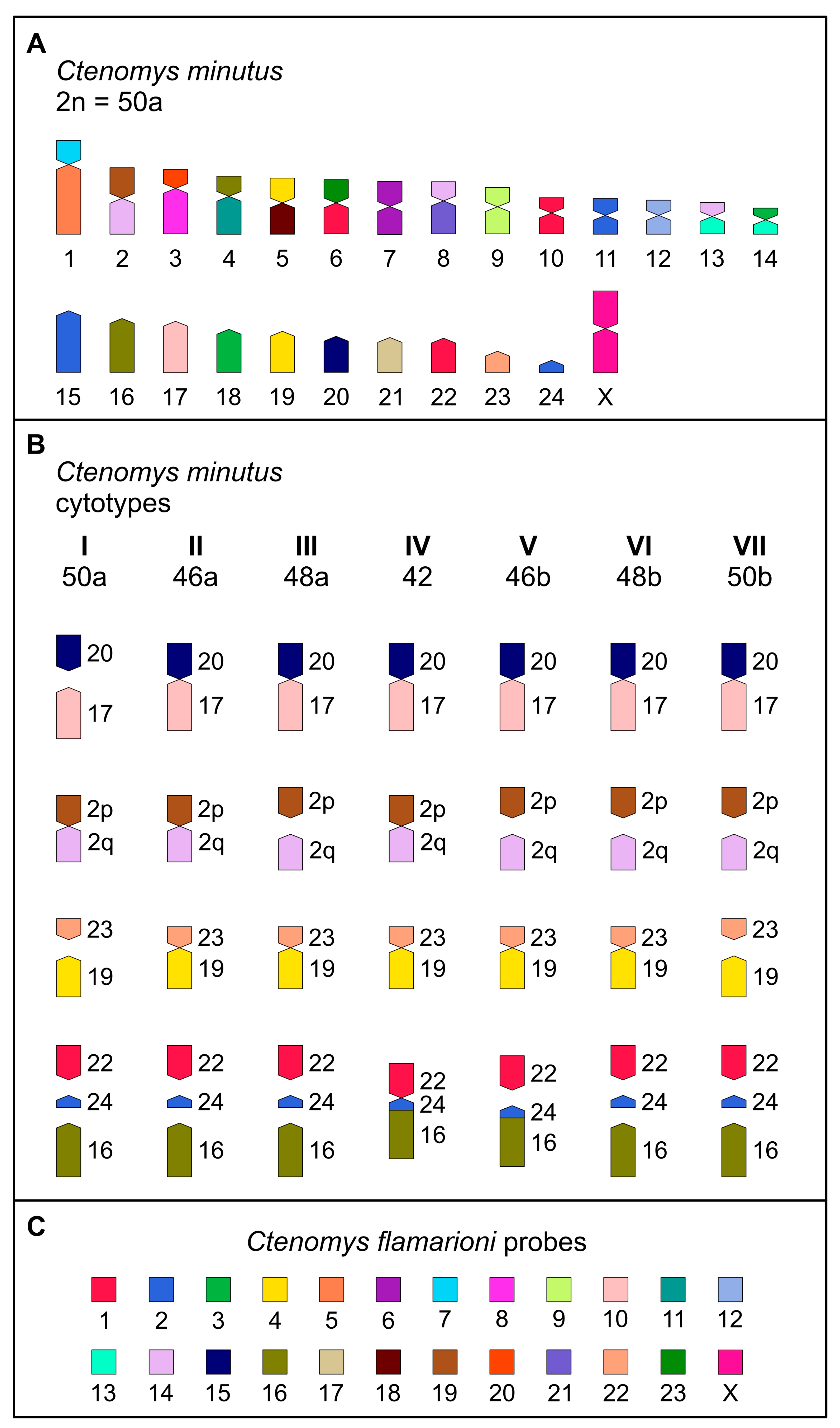 Animals 15 03091 g004