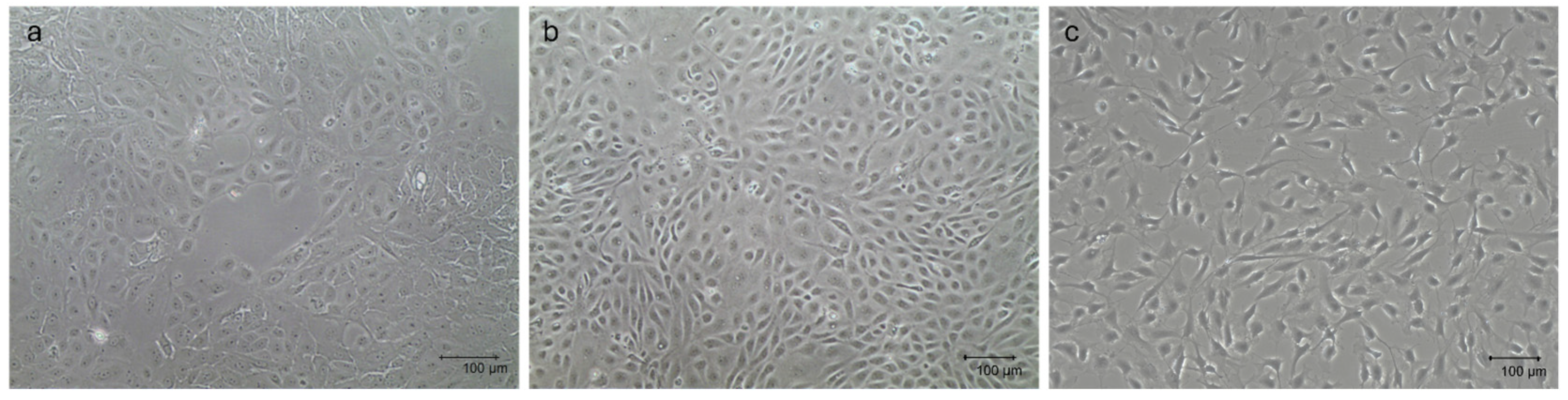 Animals 15 03095 g001