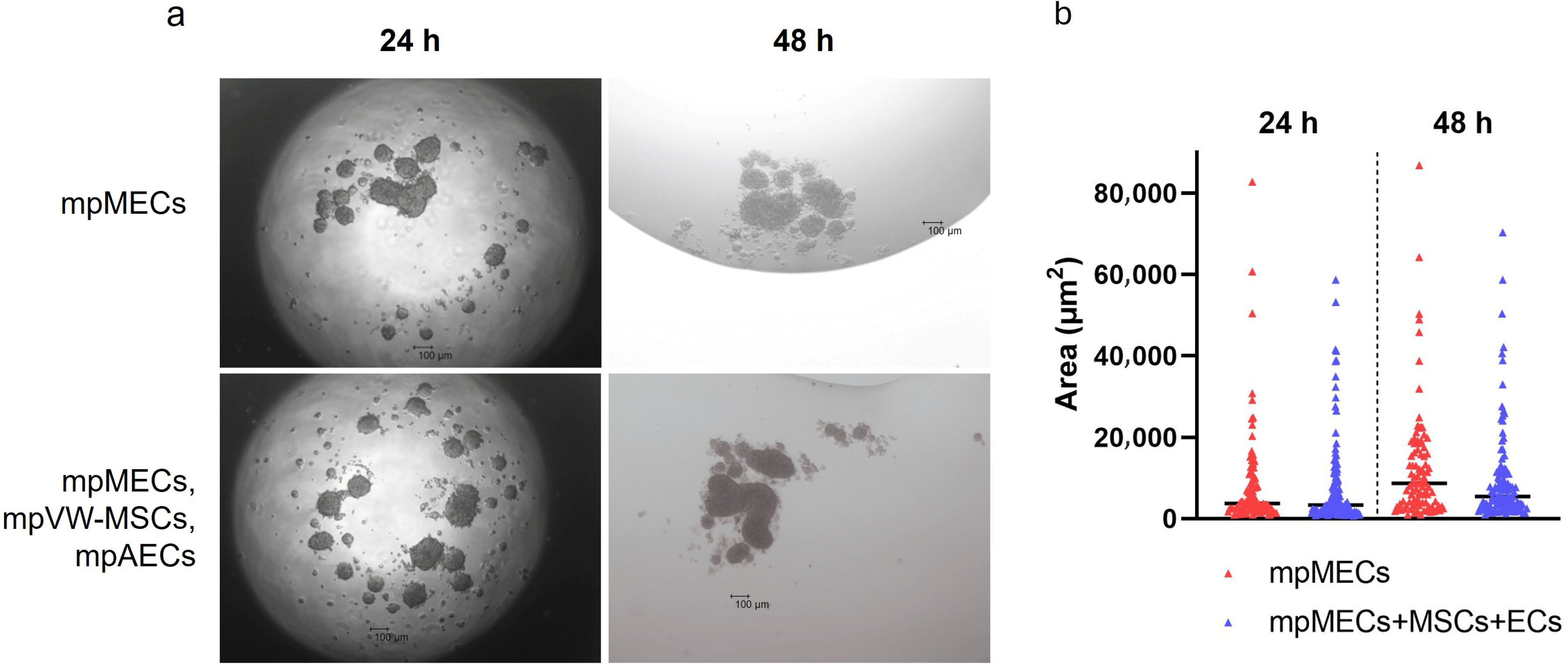 Animals 15 03095 g002