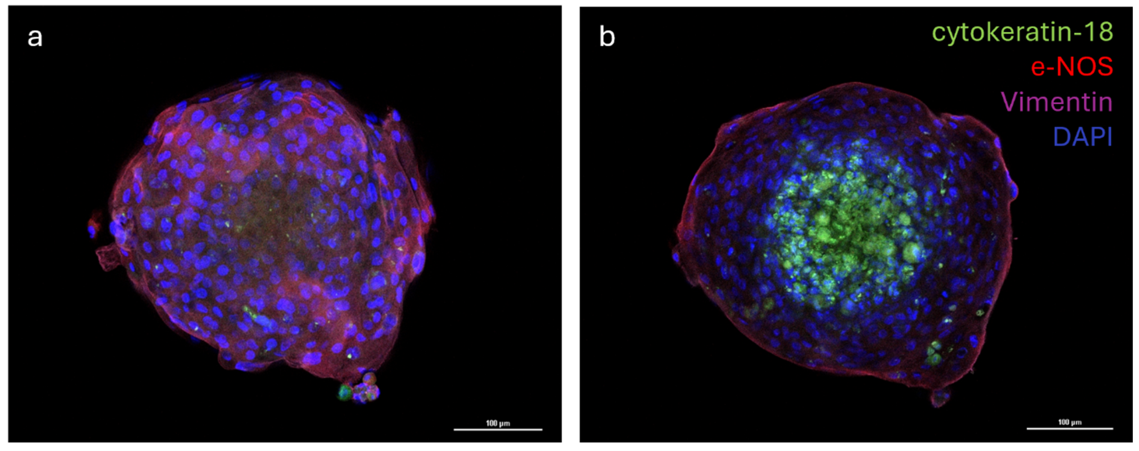 Animals 15 03095 g006