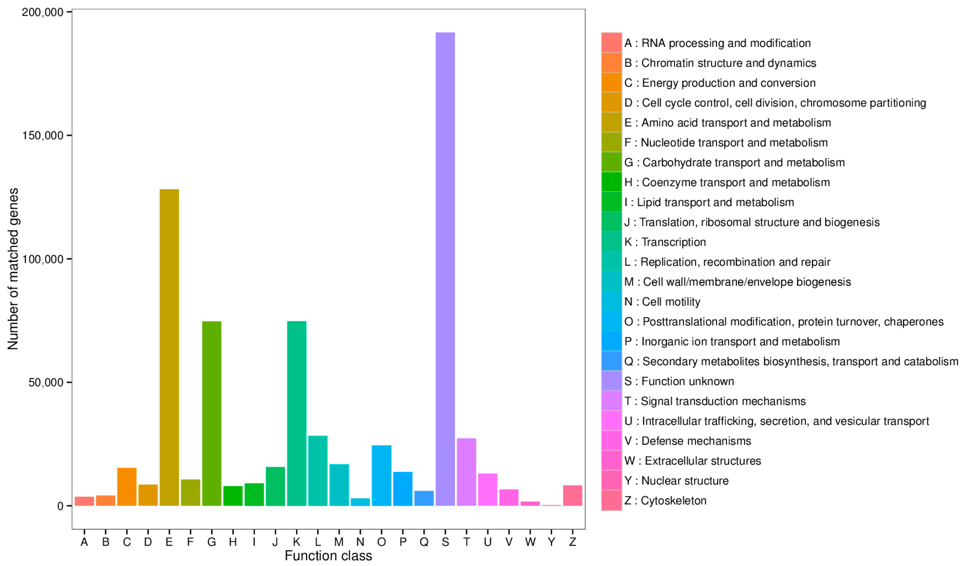 Animals 15 03099 g004