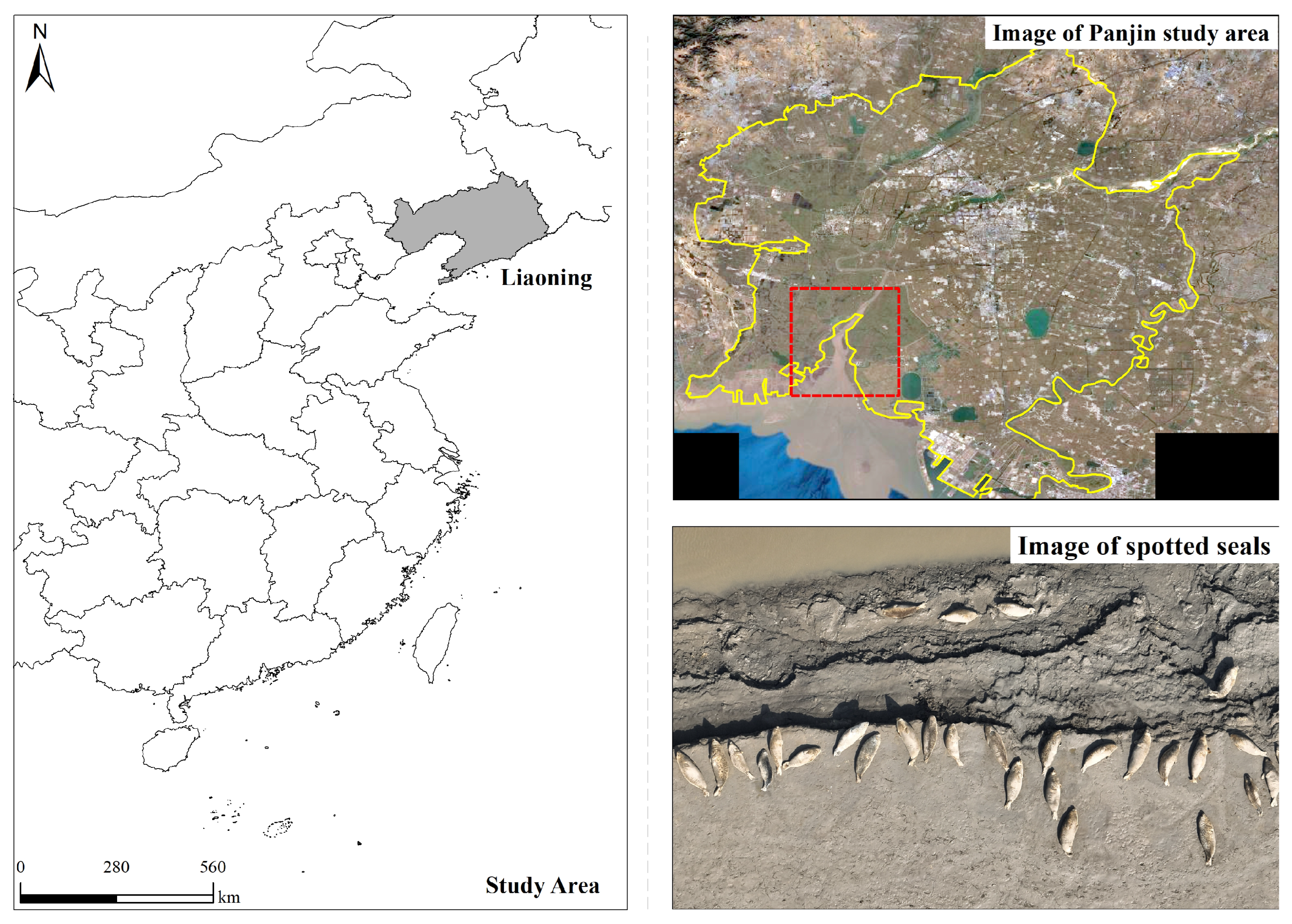 Animals 15 03100 g001