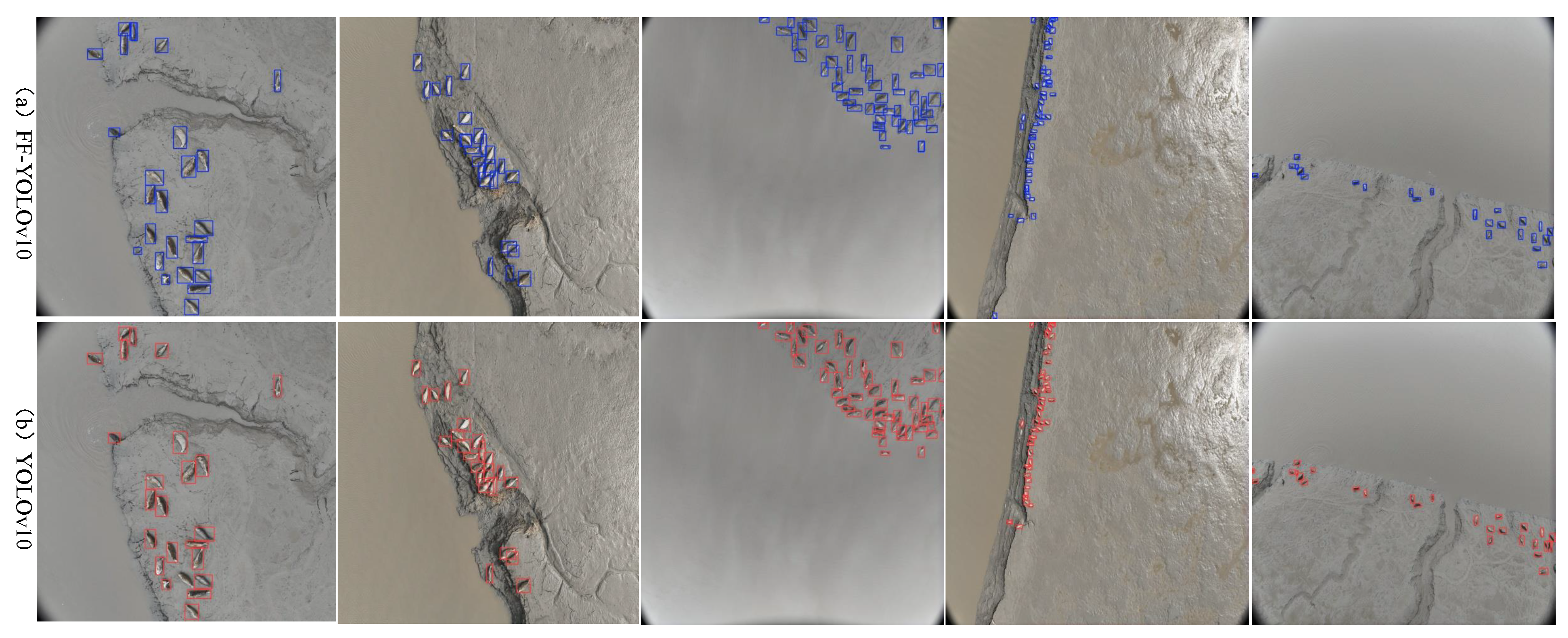 Animals 15 03100 g011