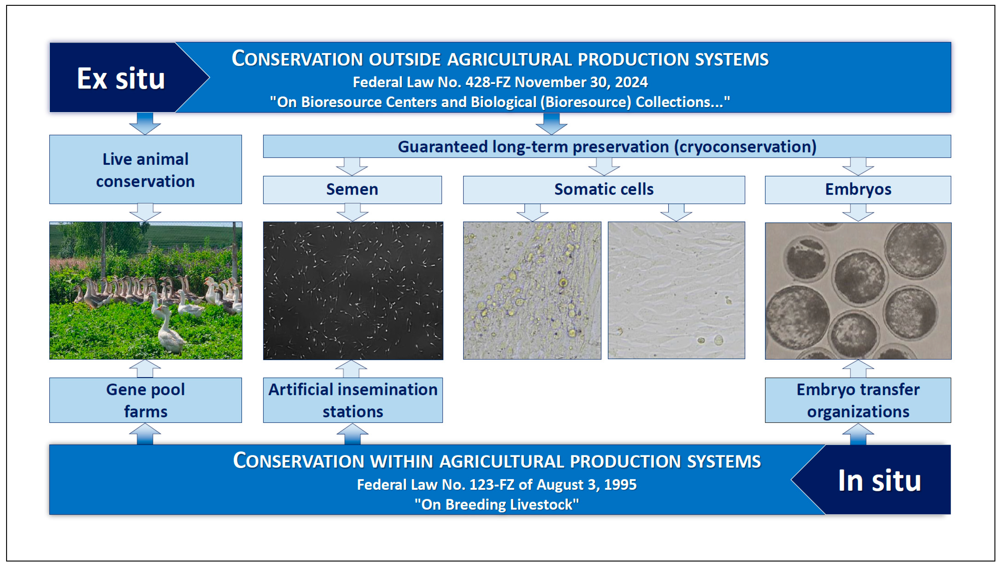 Animals 15 03103 g002