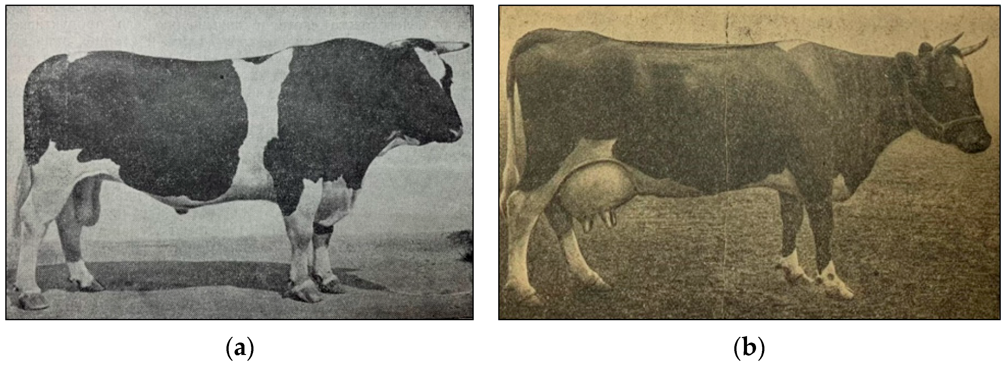 Animals 15 03103 g006a