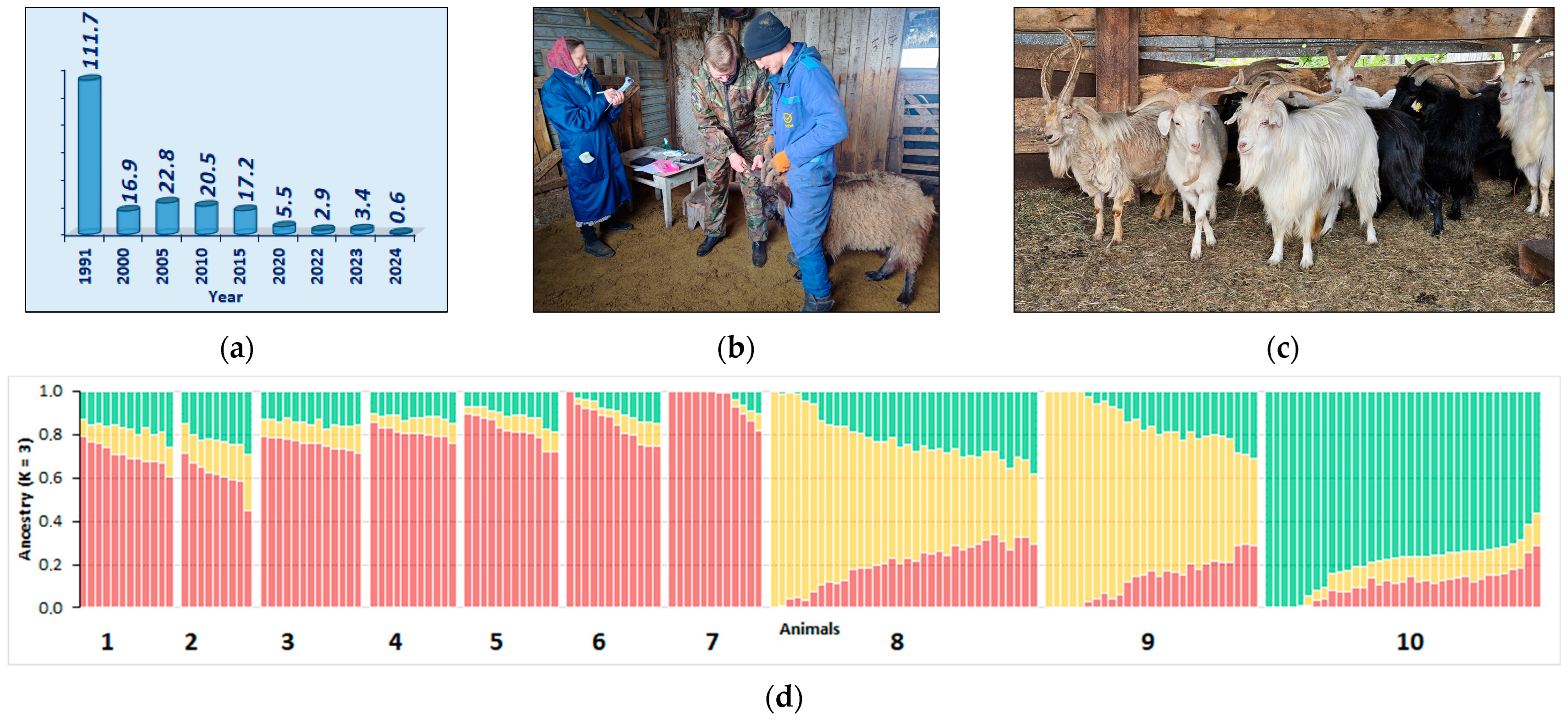 Animals 15 03103 g009