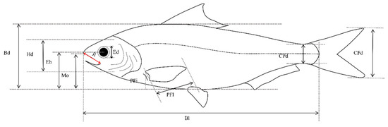 Animals 15 03108 g0a4