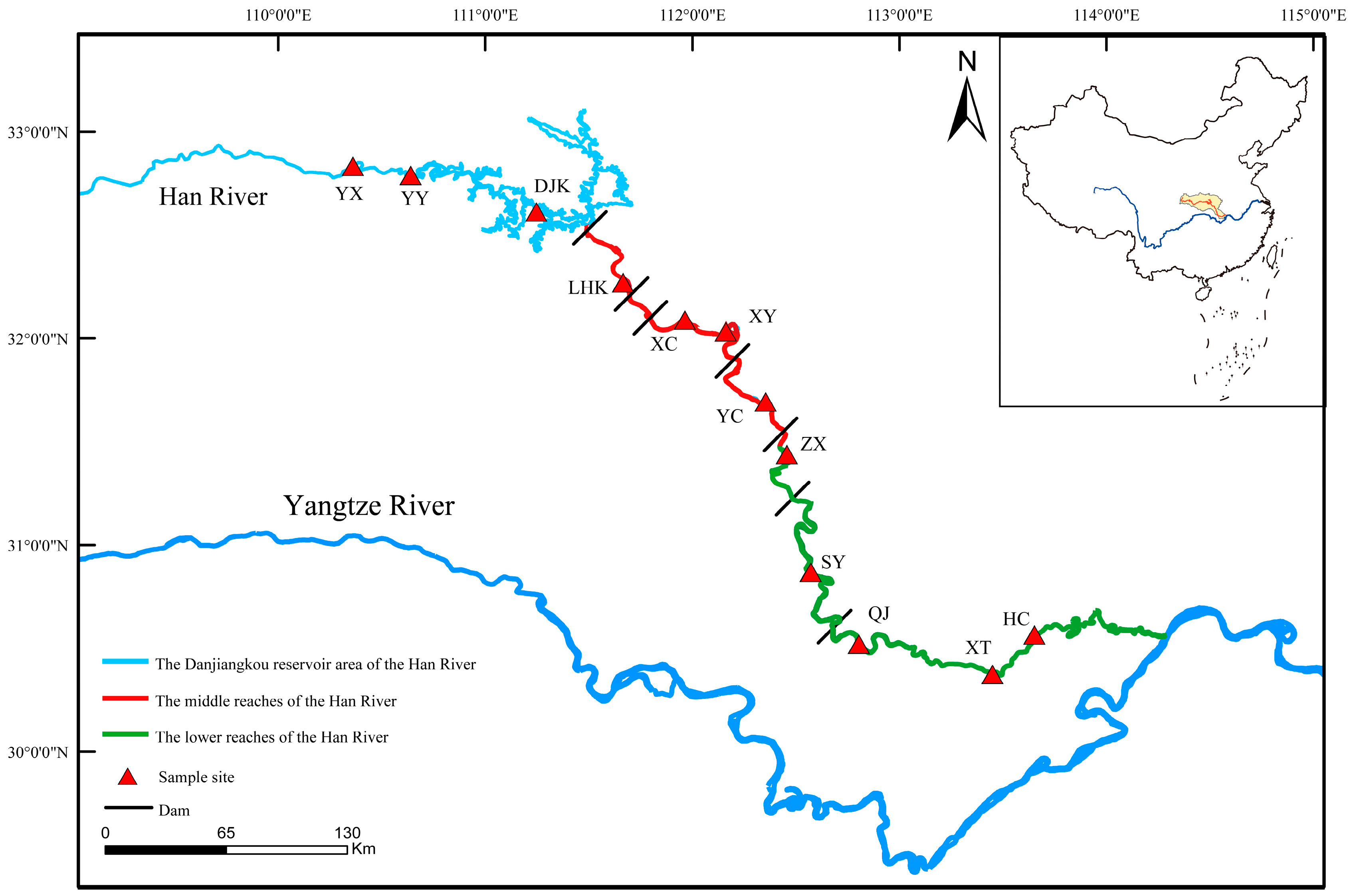 Animals 15 03109 g001