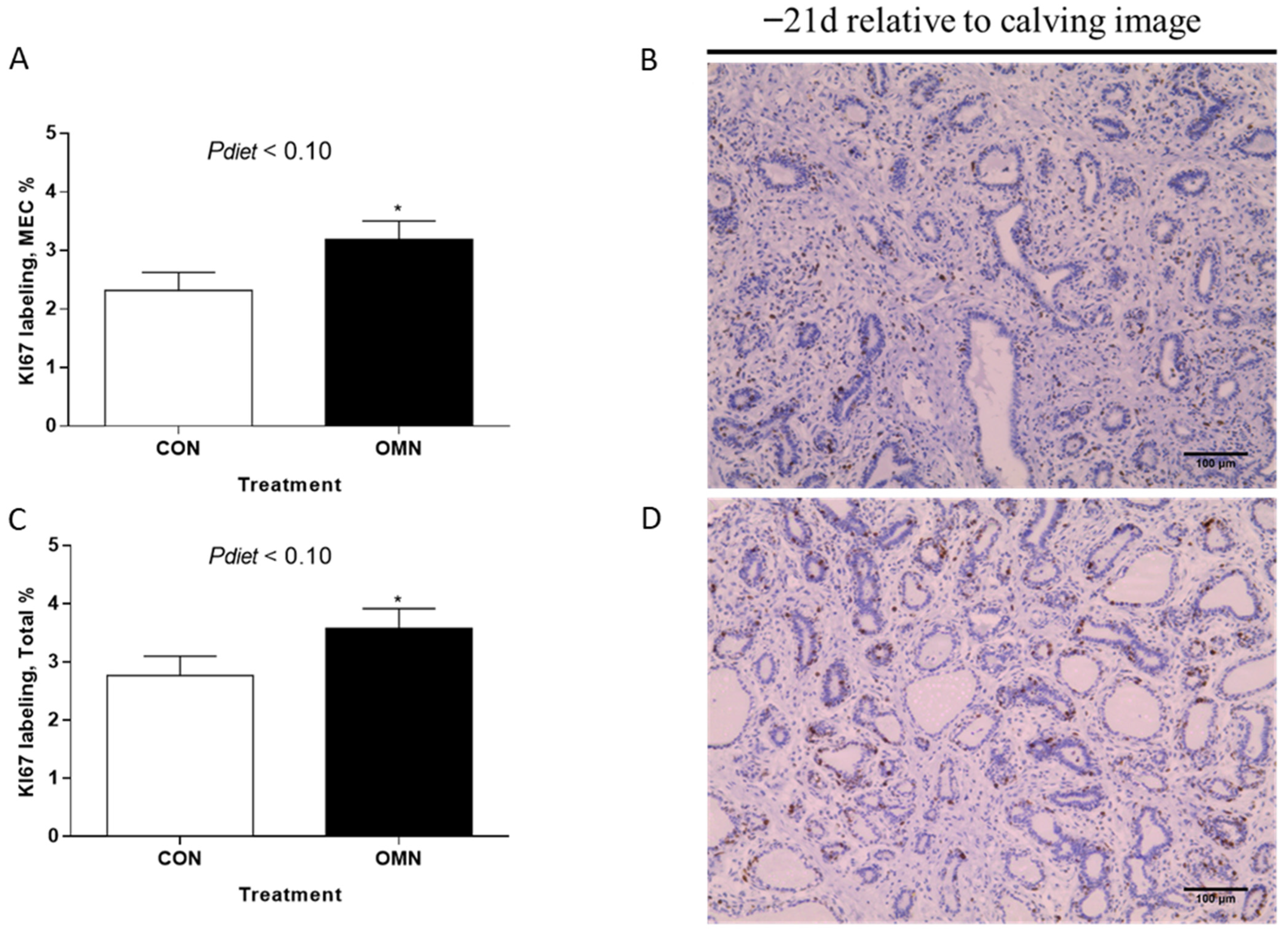 Animals 15 03113 g002