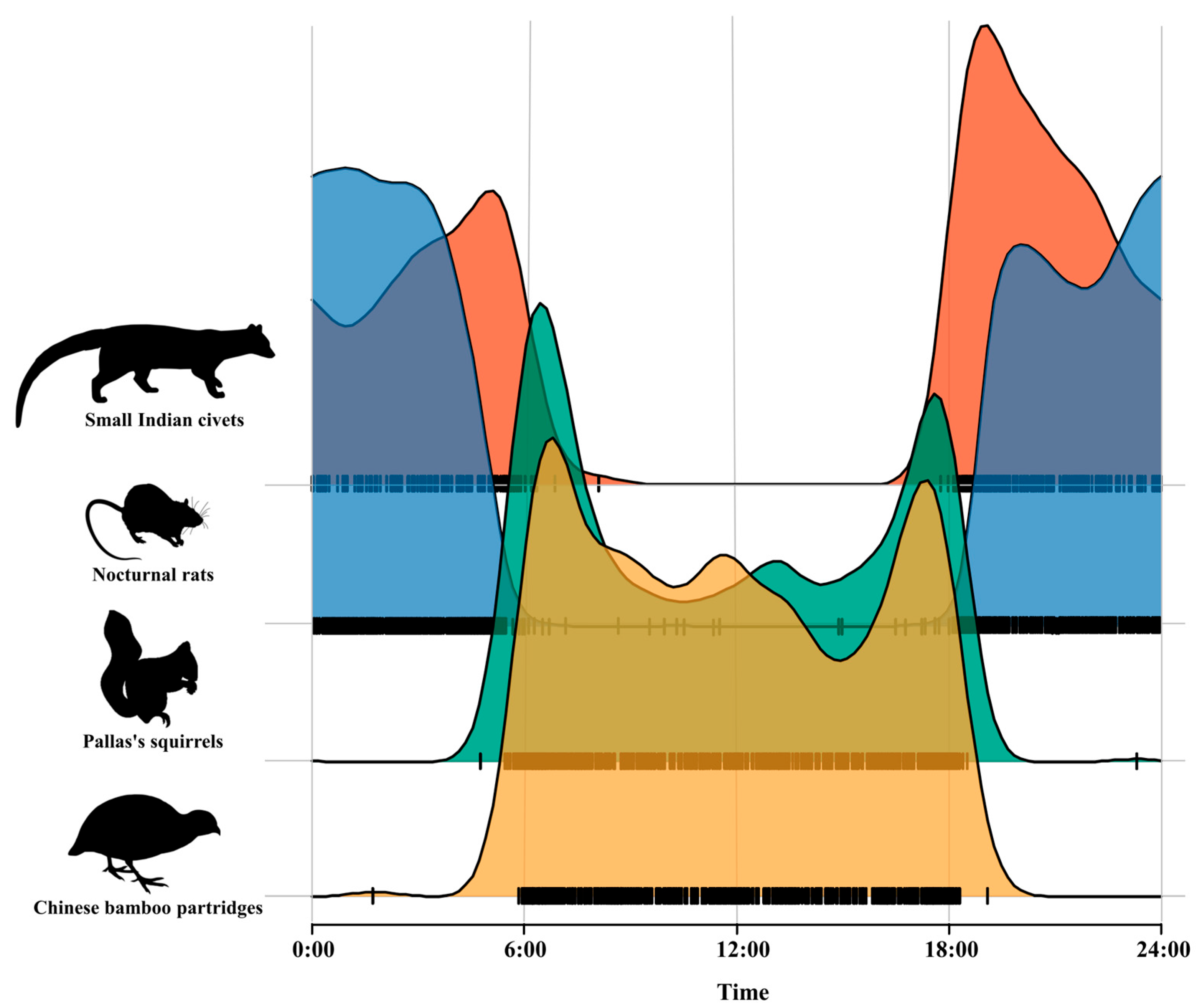 Animals 15 03121 g003 Animals 15 03121 g003