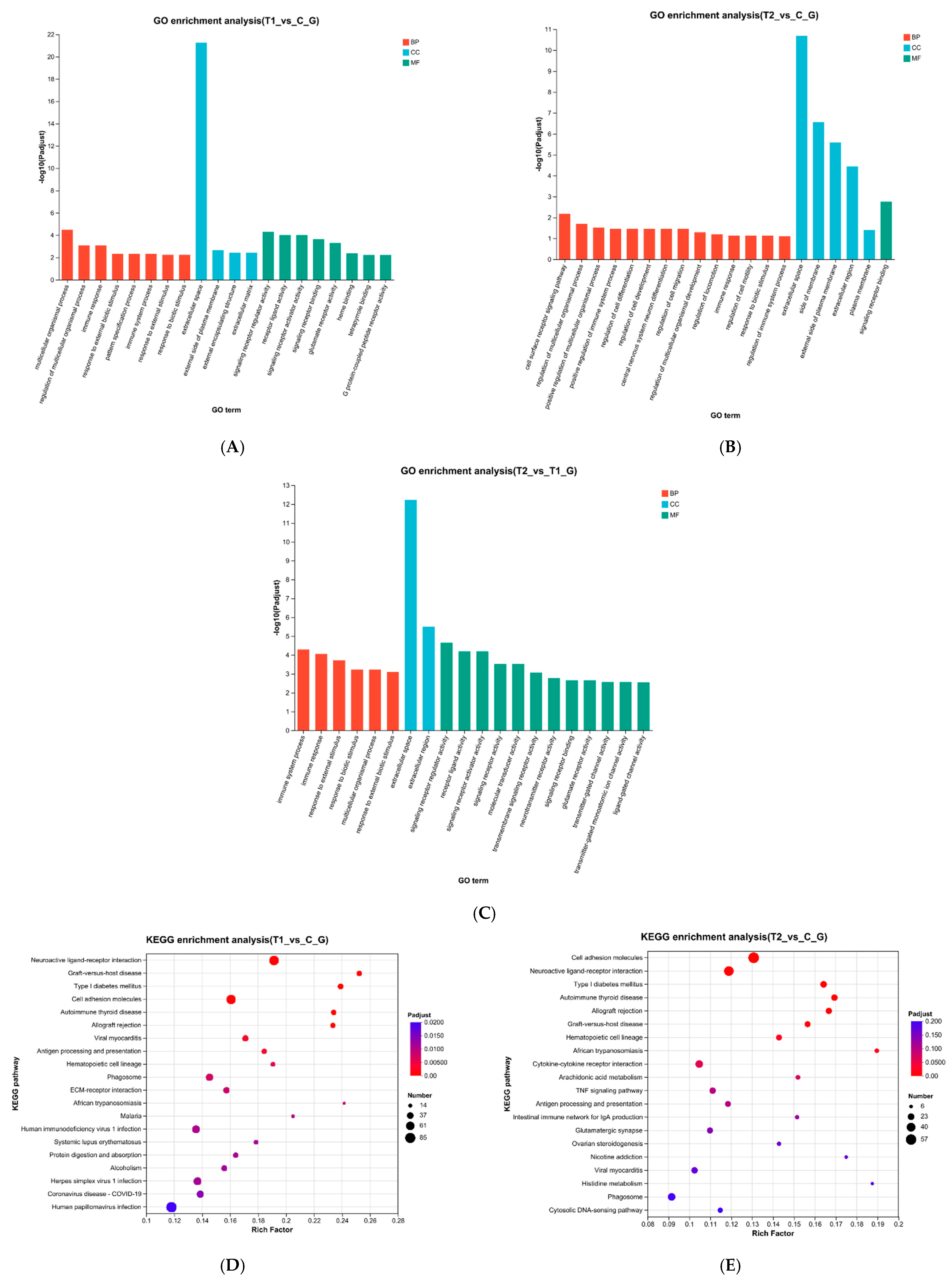 Animals 15 03122 g003
