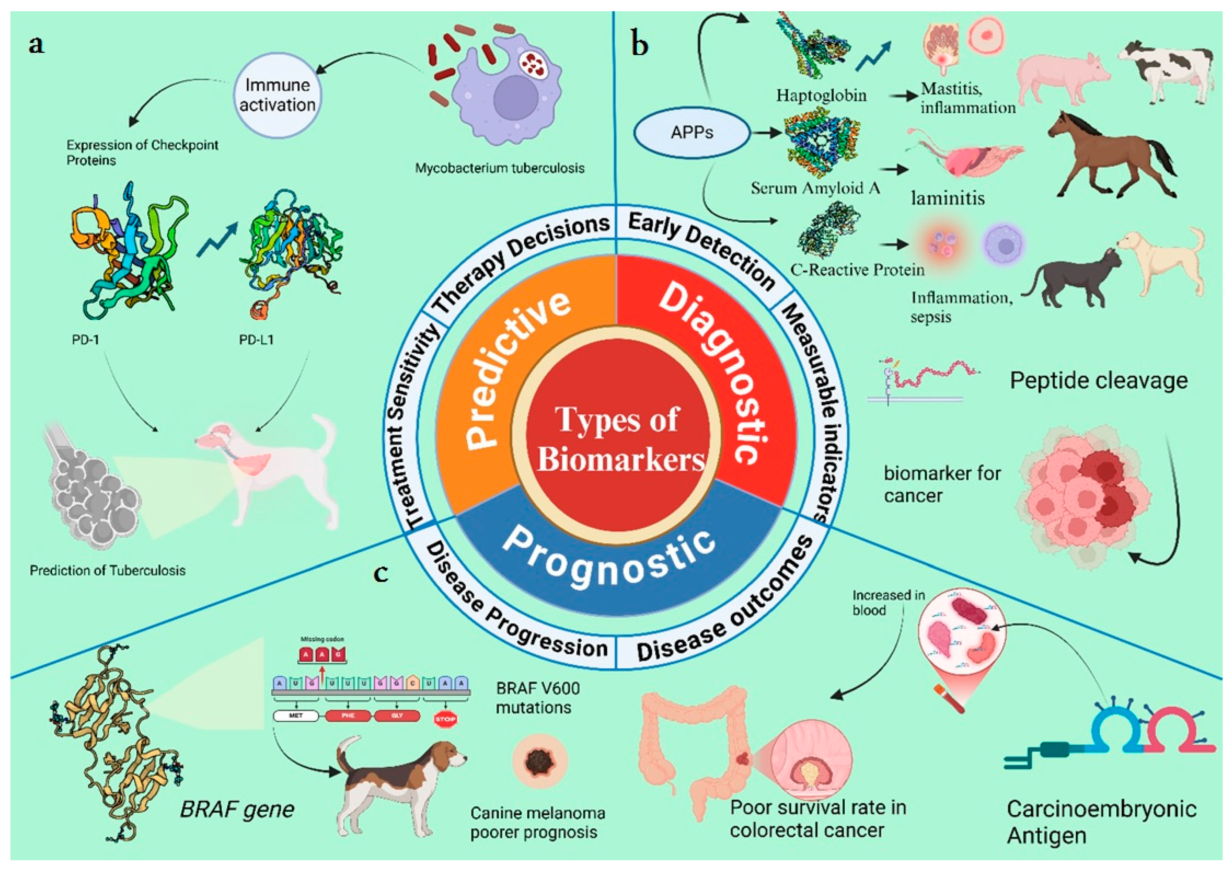 Animals 15 03132 g003 Animals 15 03132 g003