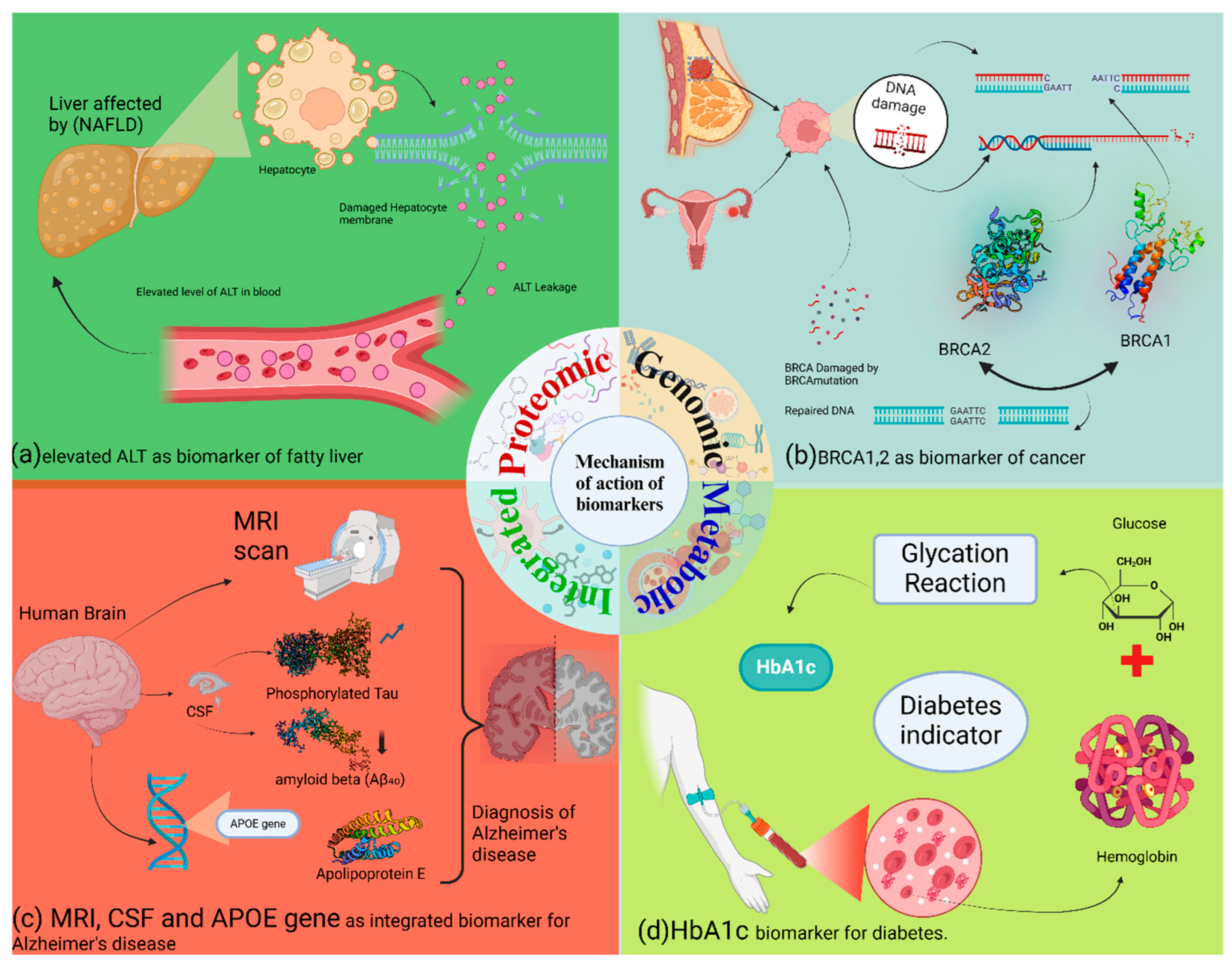 Animals 15 03132 g004 Animals 15 03132 g004