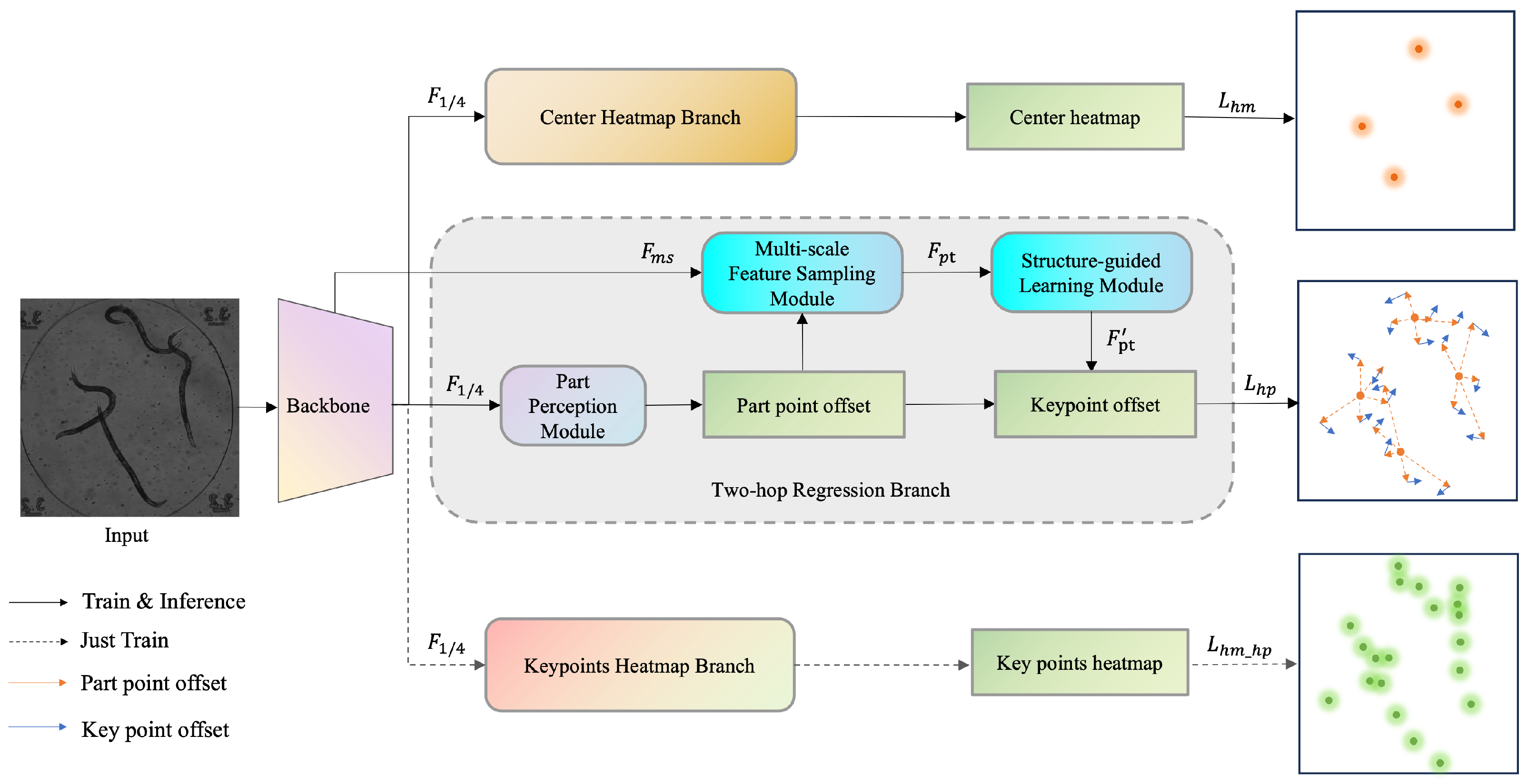 Animals 15 03139 g001