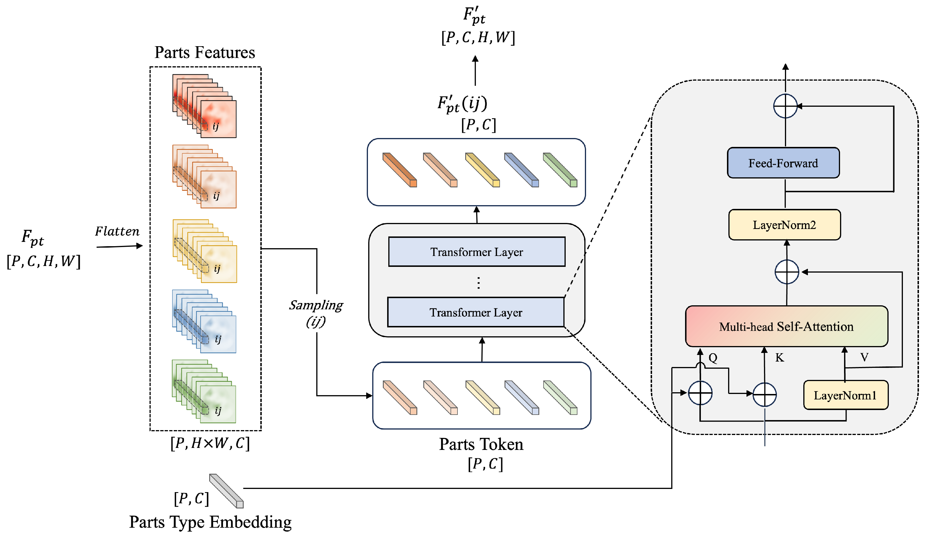 Animals 15 03139 g004