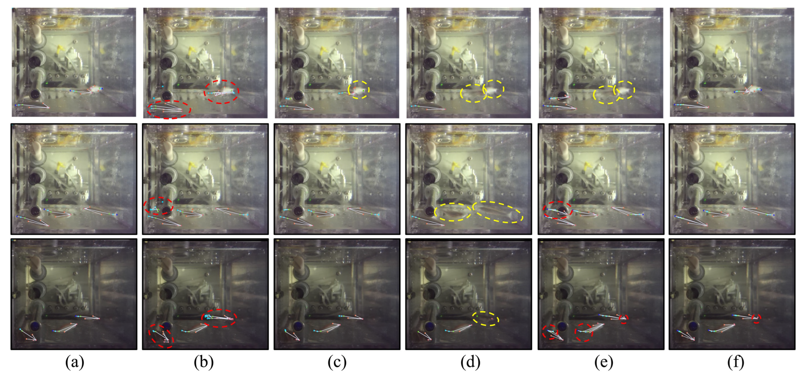 Animals 15 03139 g006