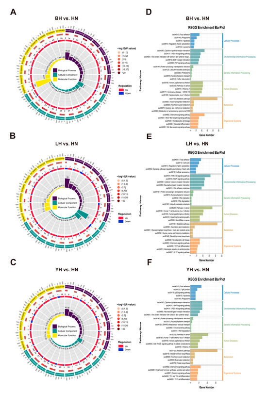 Animals 15 03144 g003