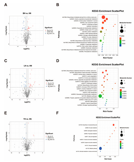 Animals 15 03144 g004