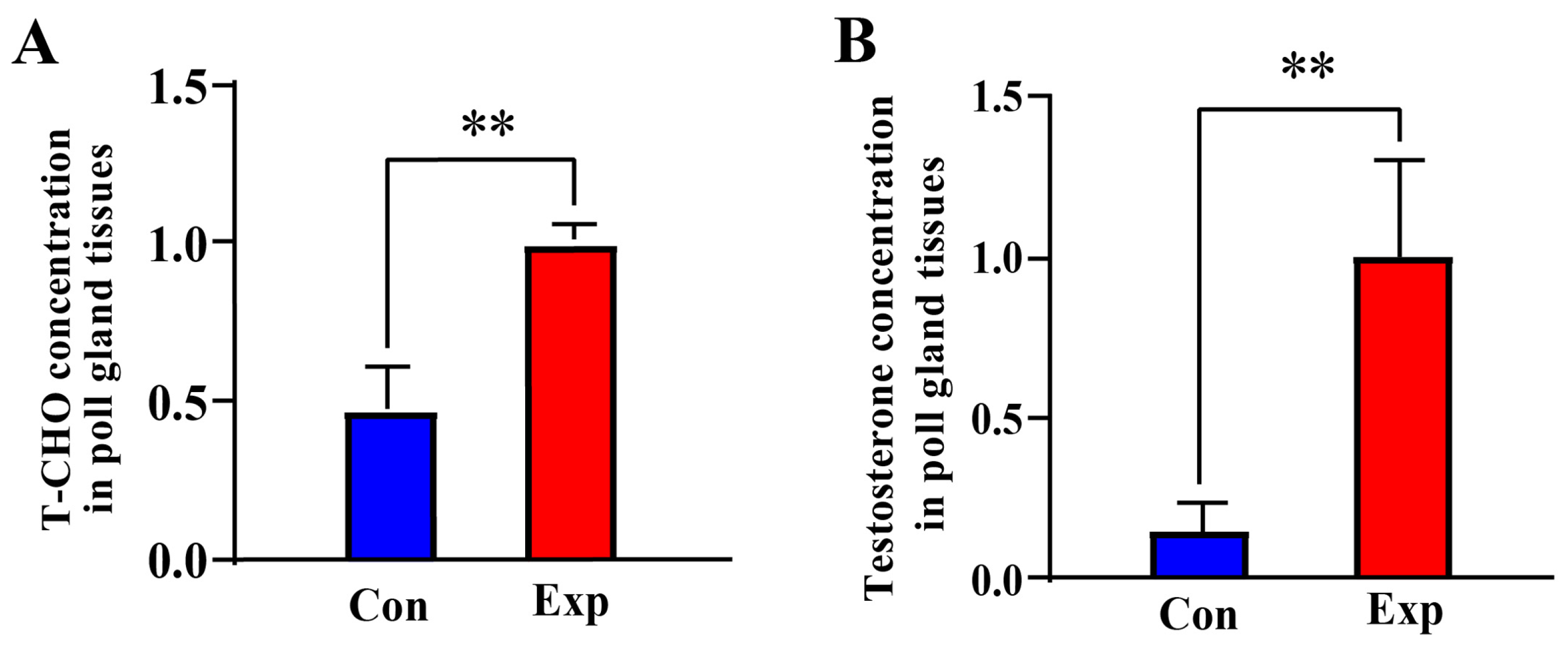 Animals 15 03147 g001 Animals 15 03147 g001