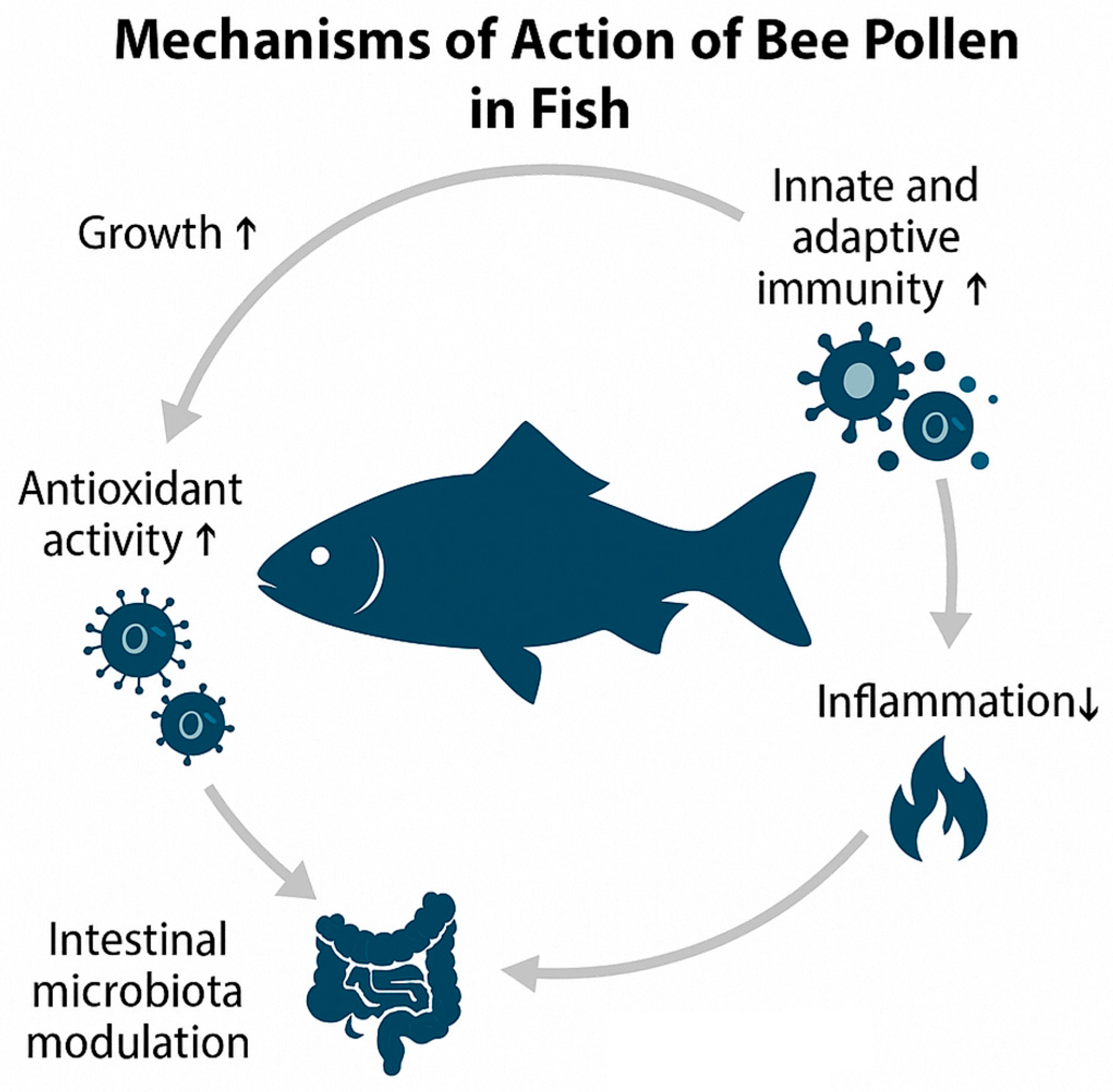 Animals 15 03153 g003