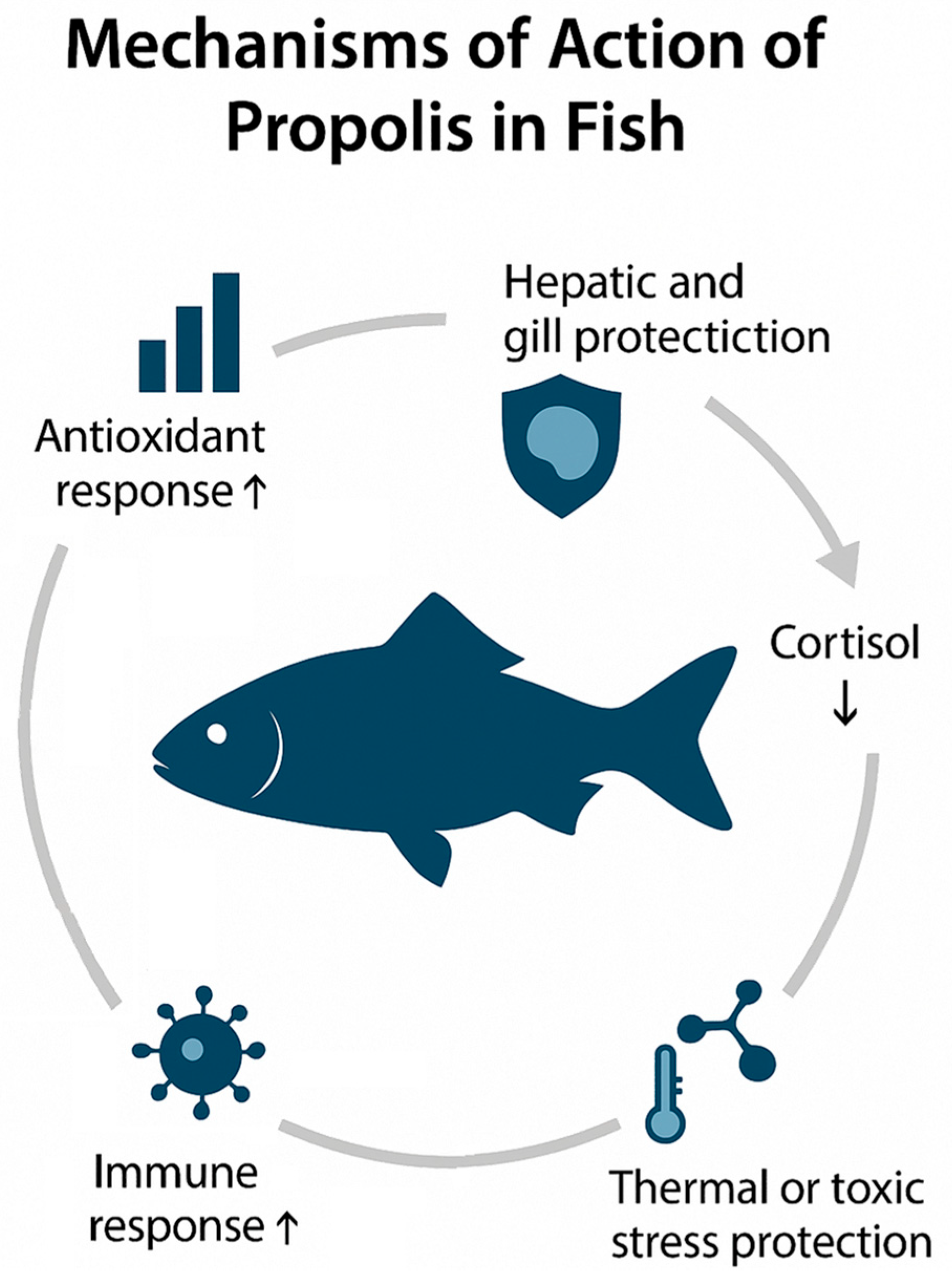 Animals 15 03153 g004