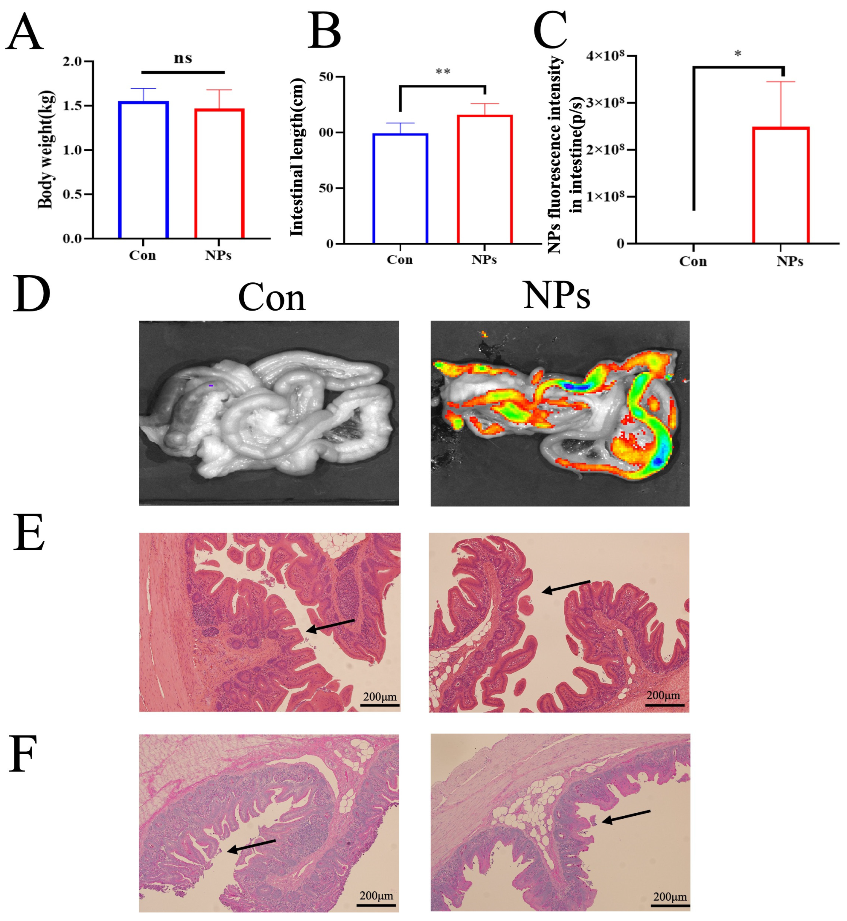 Animals 15 03154 g002 Animals 15 03154 g002
