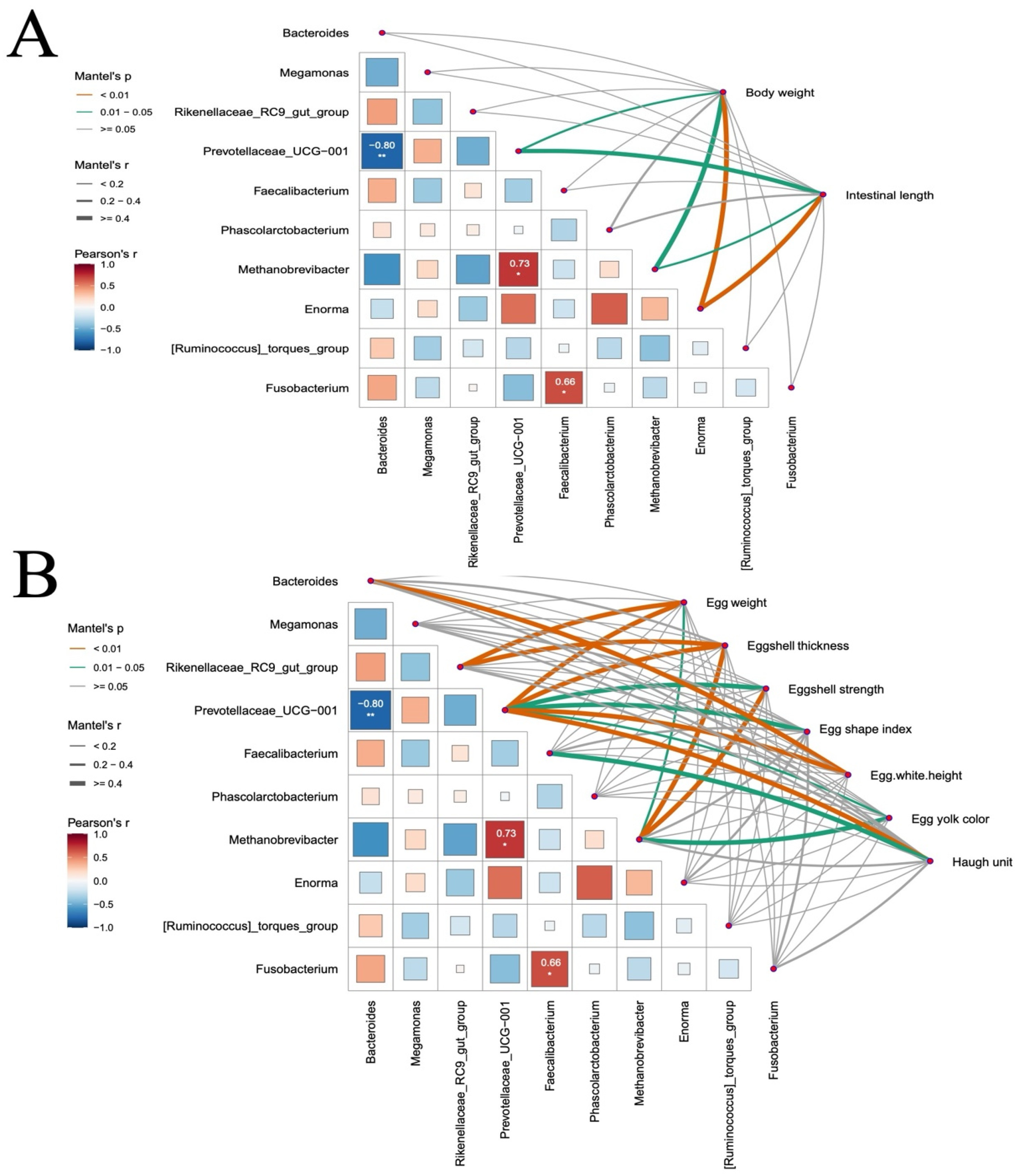 Animals 15 03154 g008 Animals 15 03154 g008