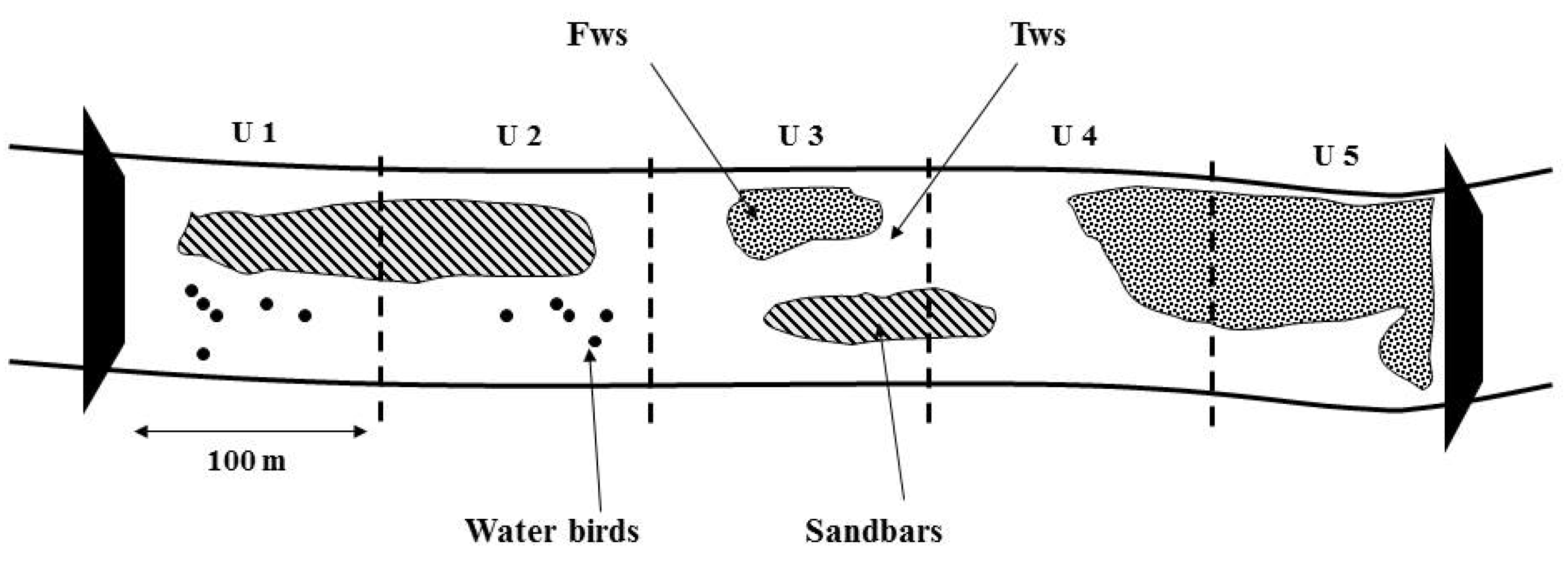 Animals 15 03161 g002 Animals 15 03161 g002