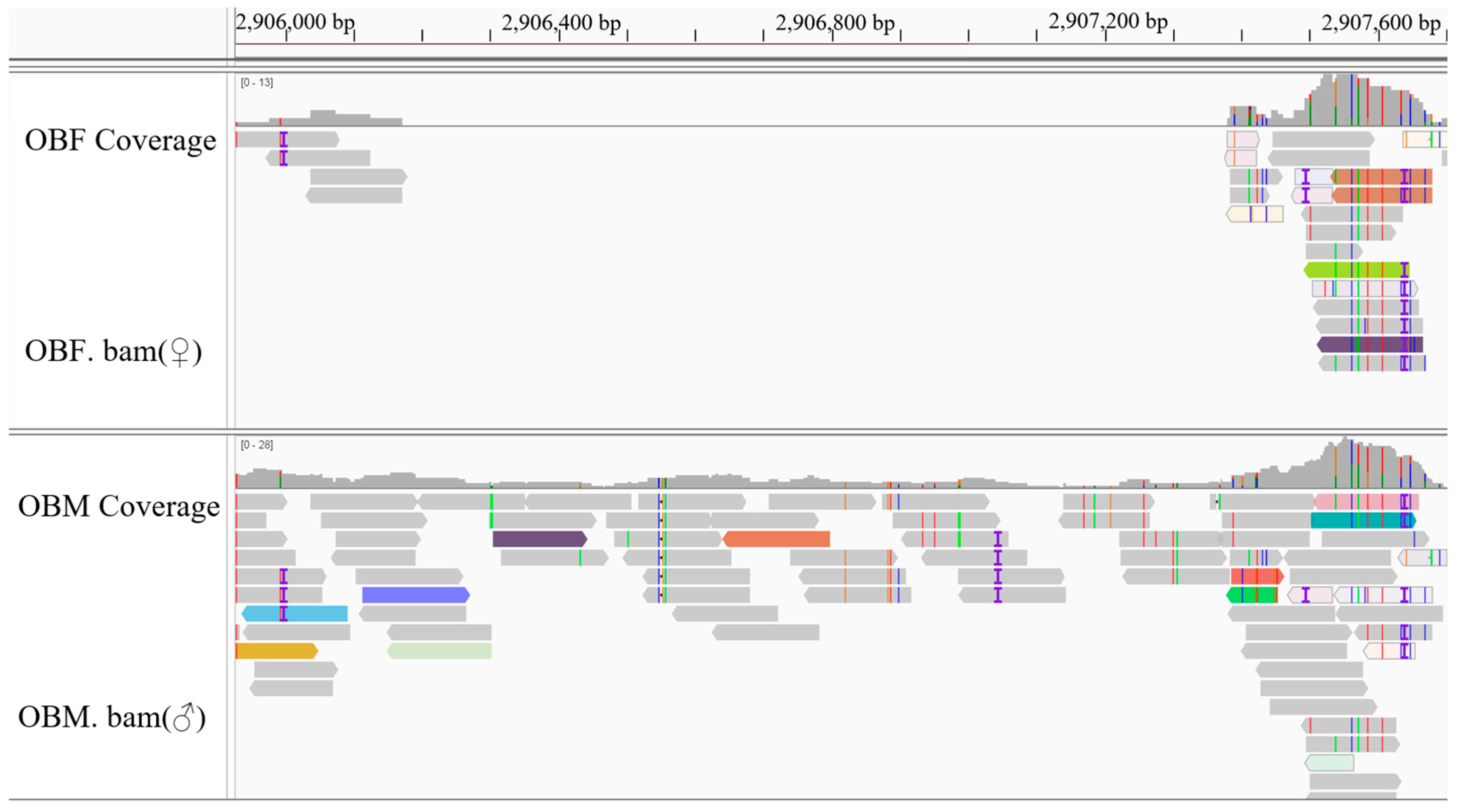 Animals 15 03164 g002 Animals 15 03164 g002