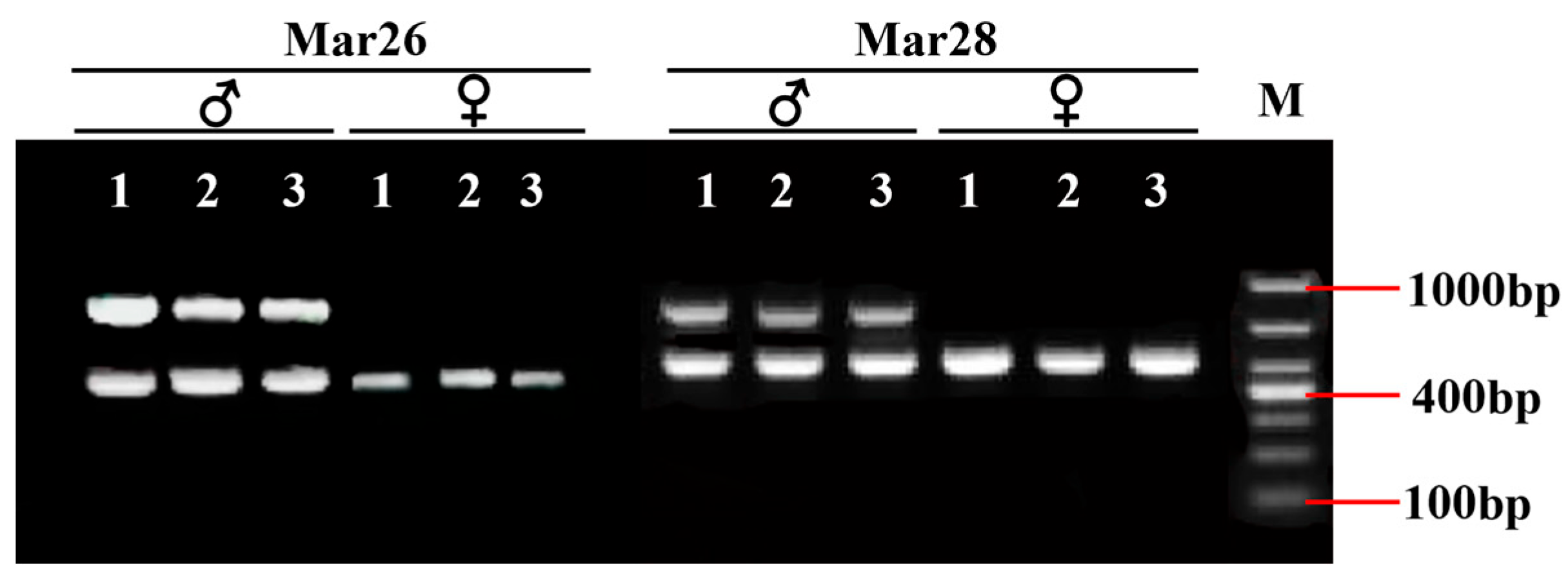 Animals 15 03164 g003a Animals 15 03164 g003a