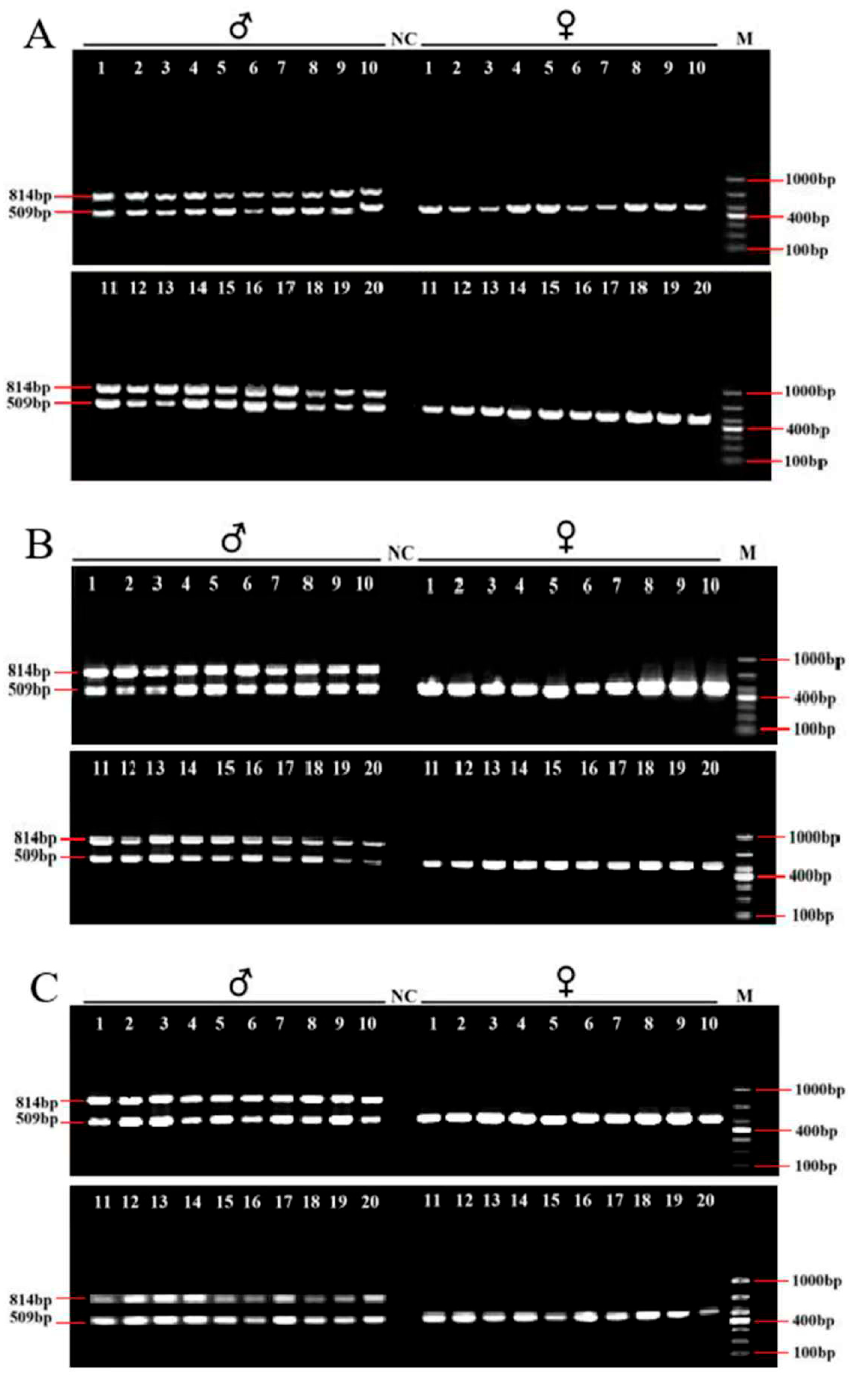 Animals 15 03164 g004 Animals 15 03164 g004