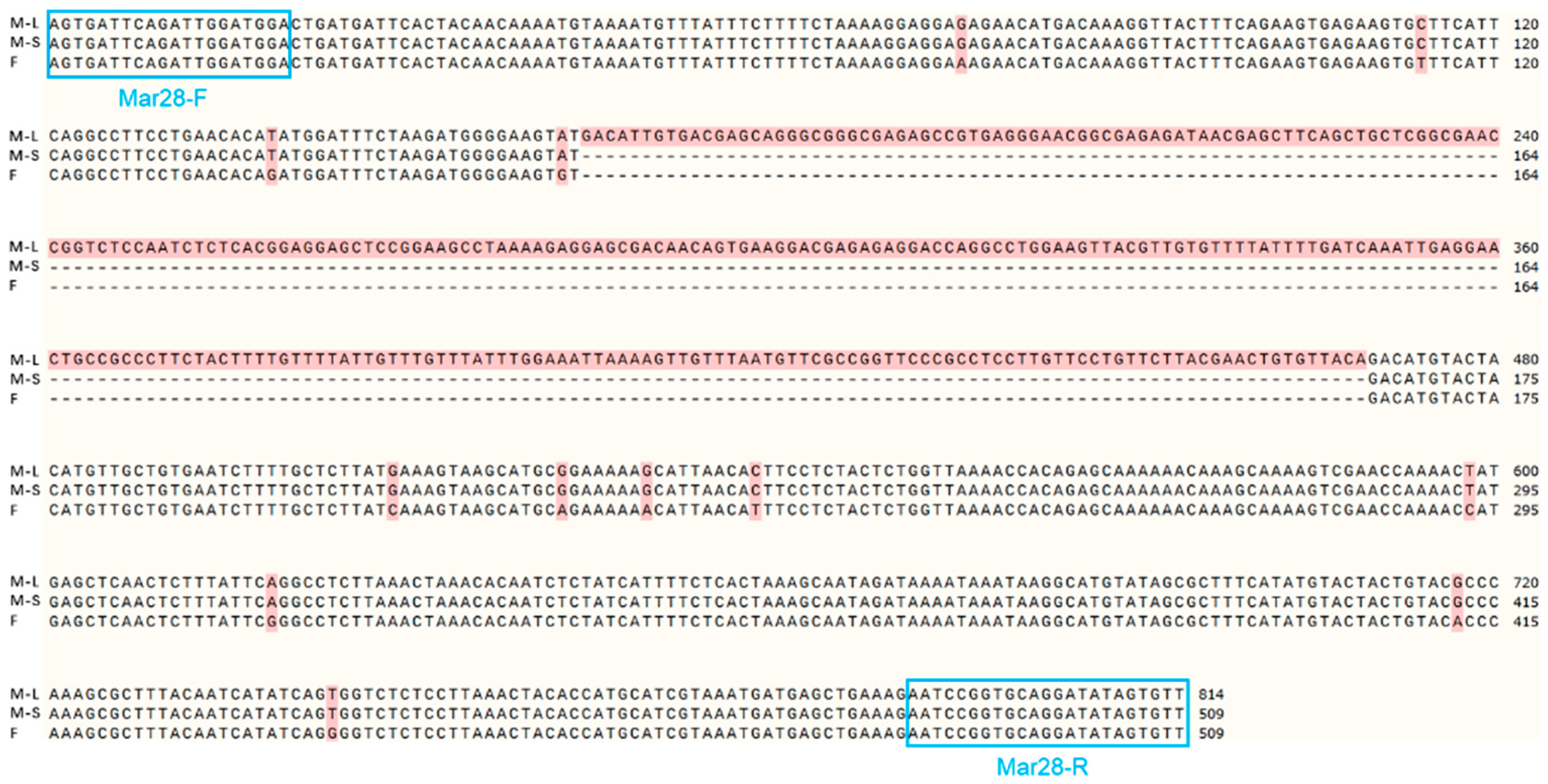 Animals 15 03164 g005 Animals 15 03164 g005