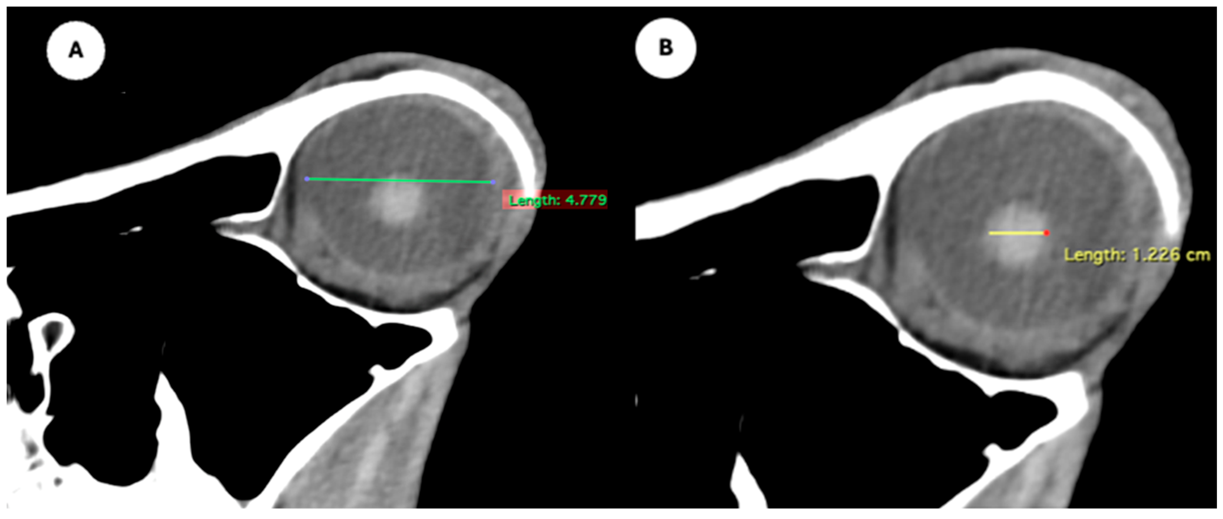 Animals 15 03165 g004