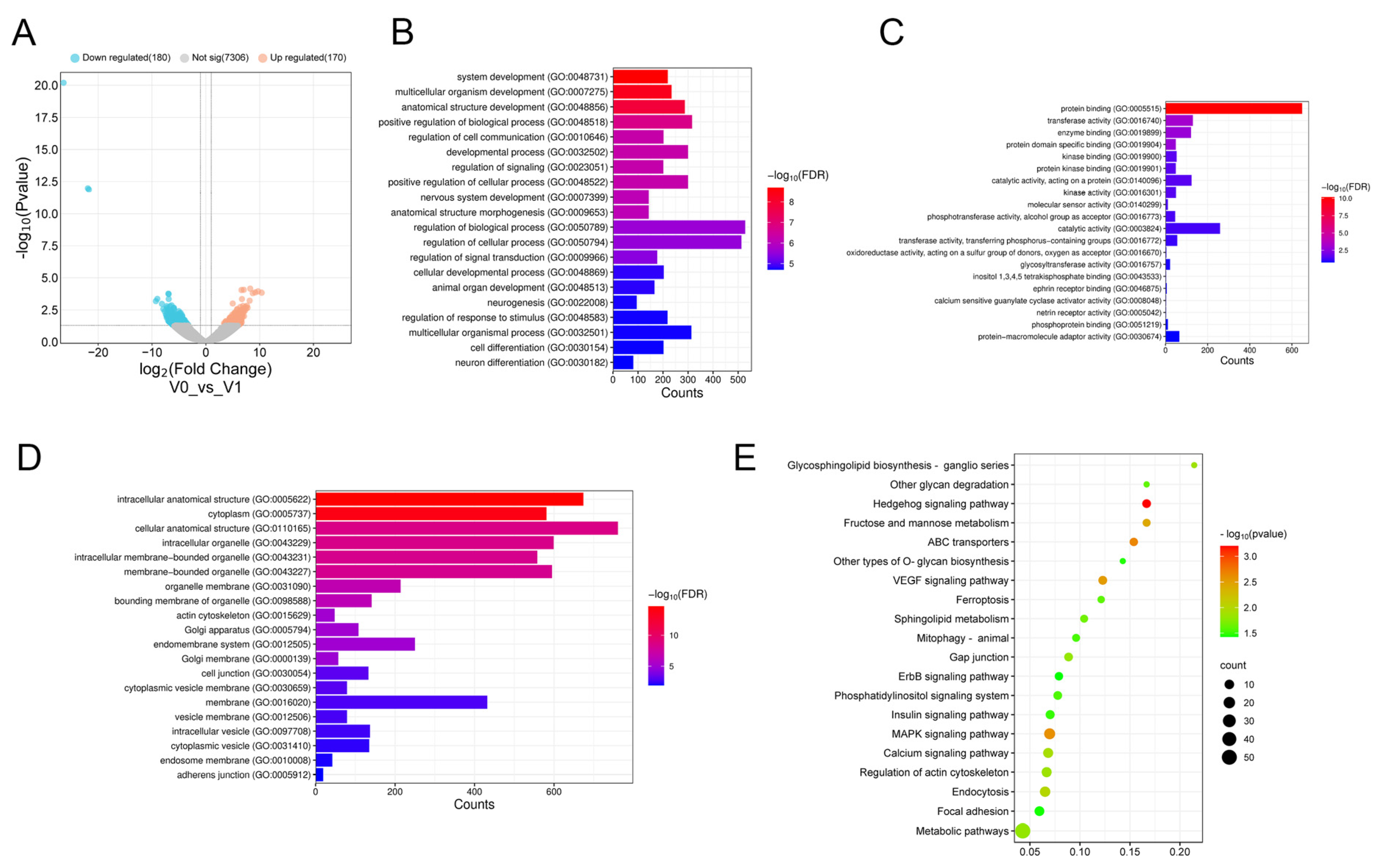 Animals 15 03171 g001